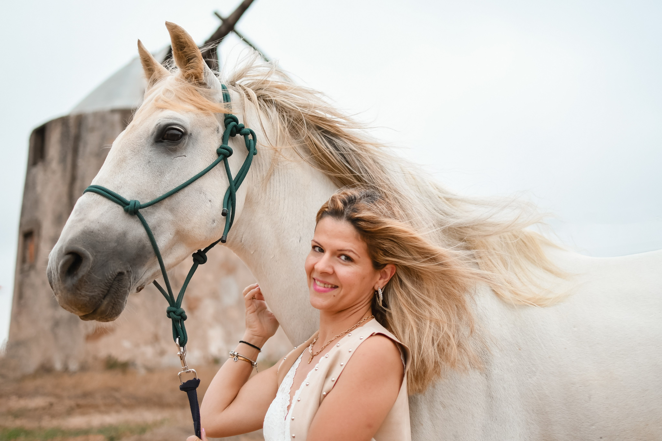 Horses. Niaferreiraphotography