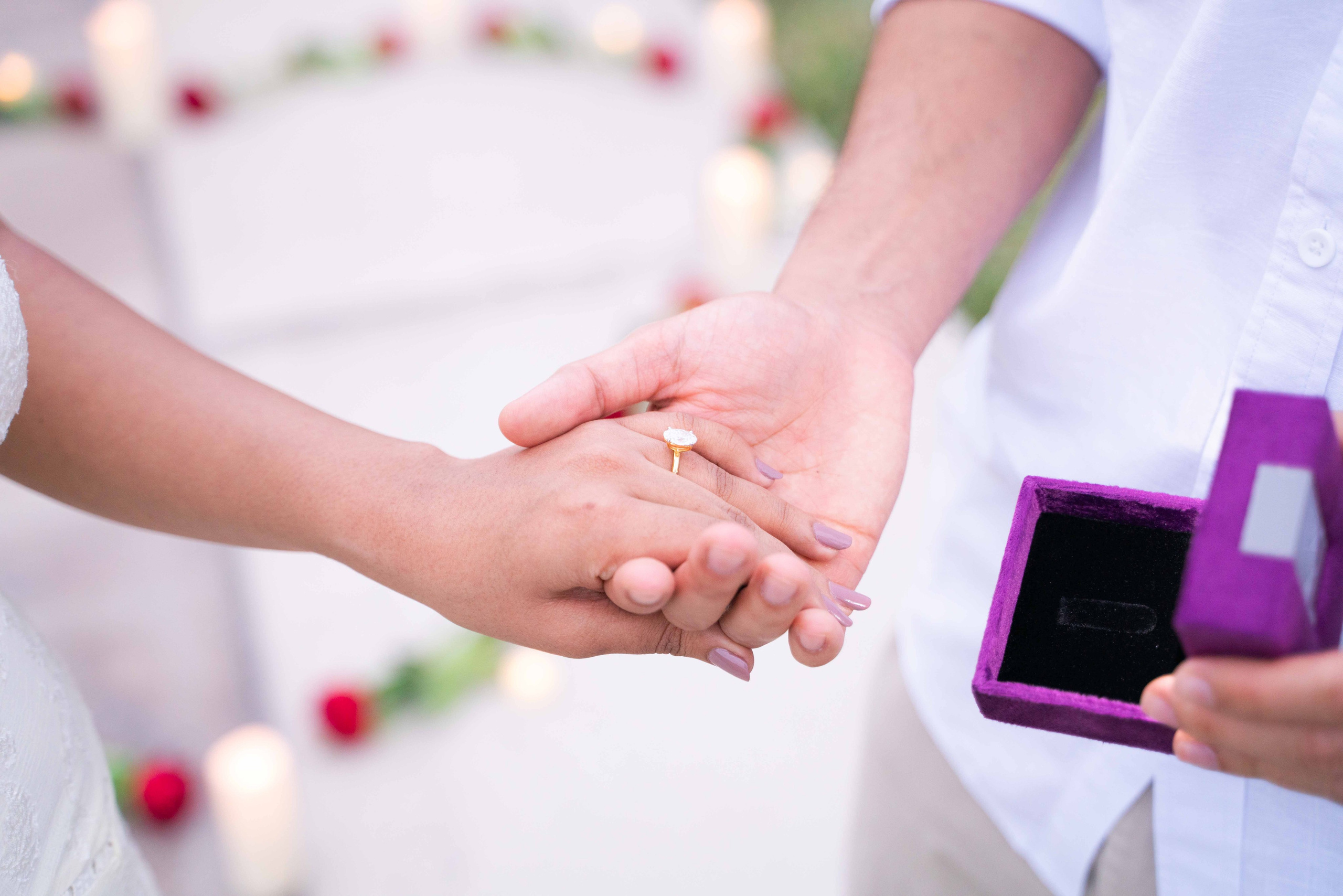 Vibhu and Sheila. Stefanovich Photography | Miami, FL