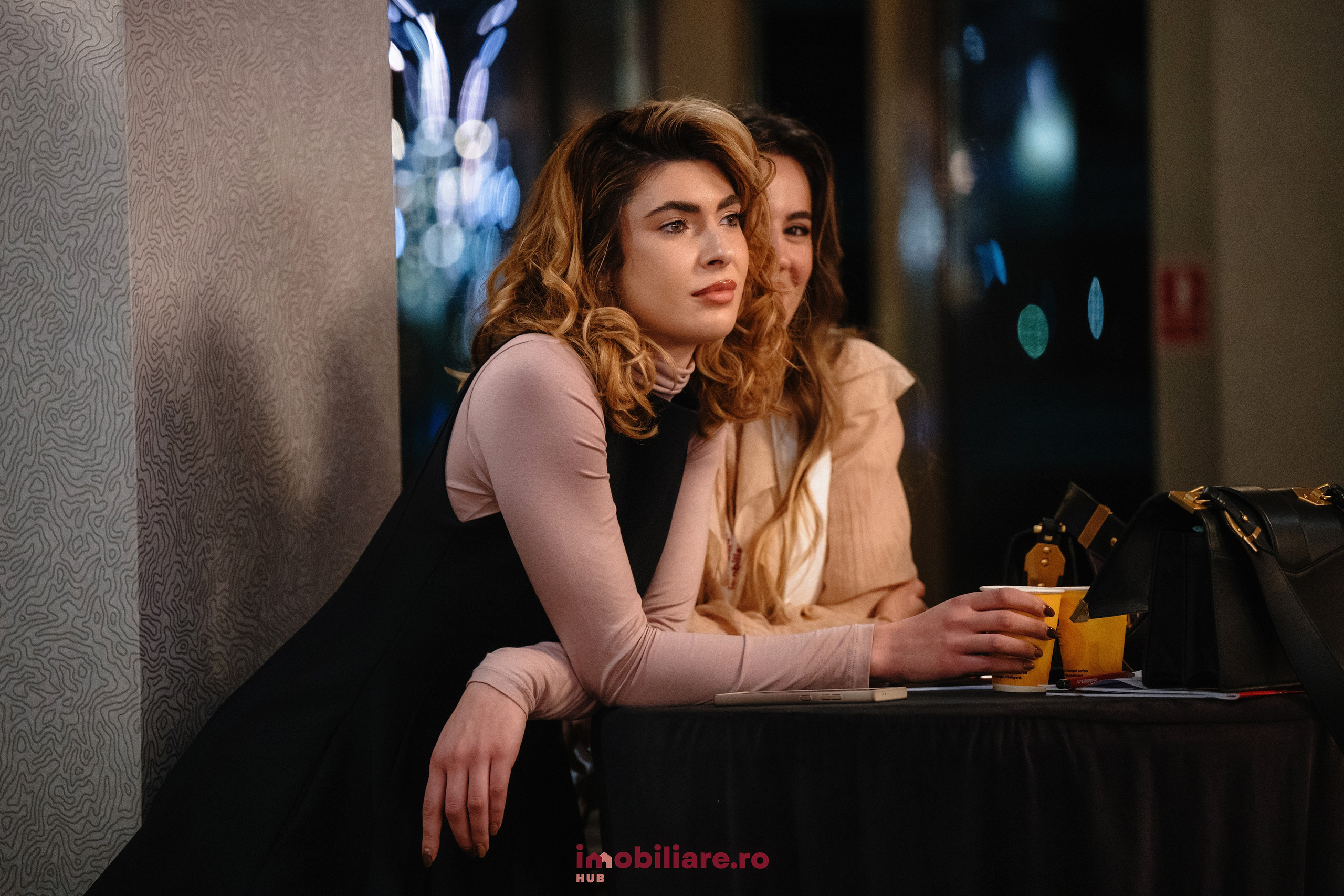 Imobliare HUB. Laurentiu Stefan StoryTeller