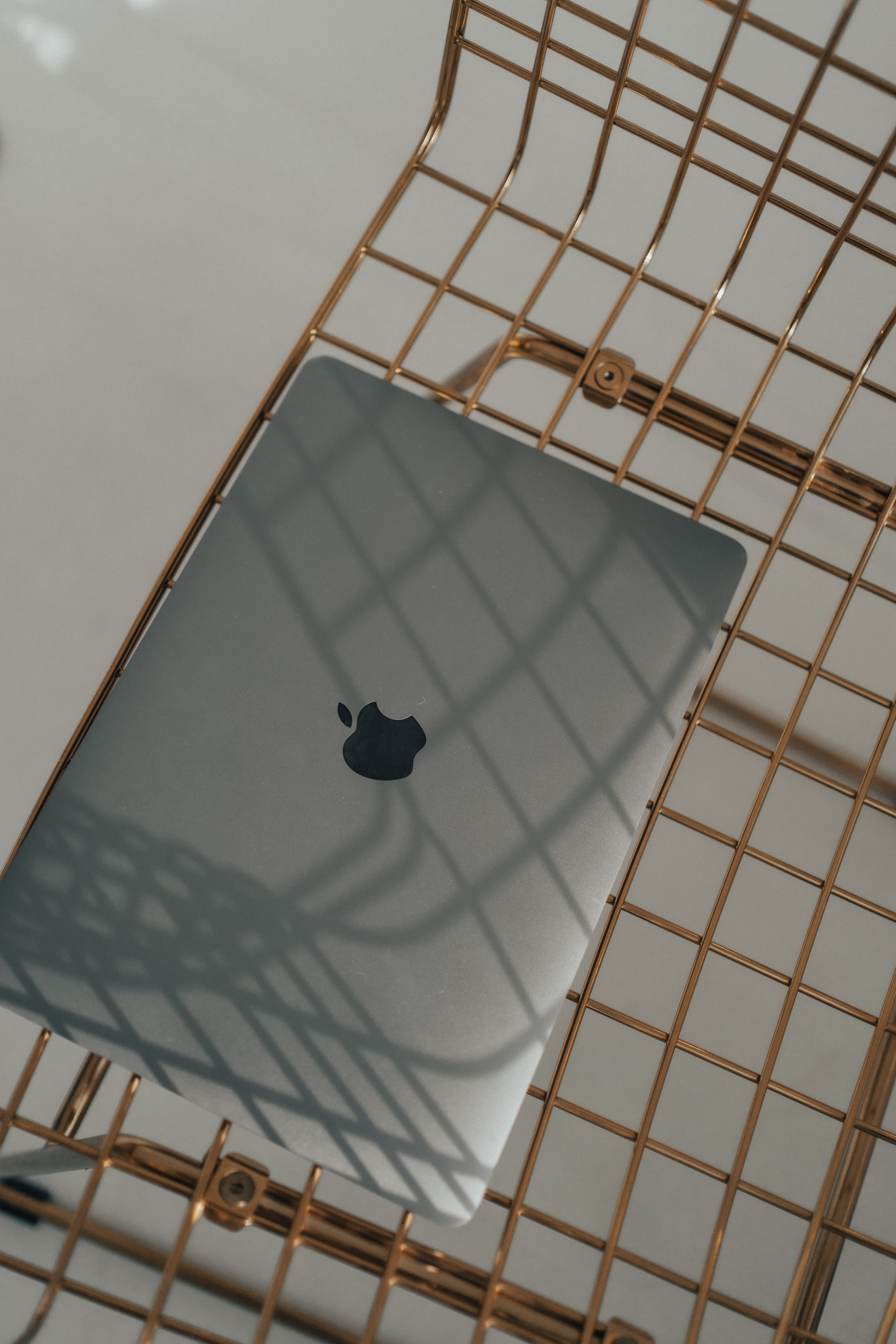 Biznesa fotosesija. Sieviešu fotogrāfe Nadja Kraukle