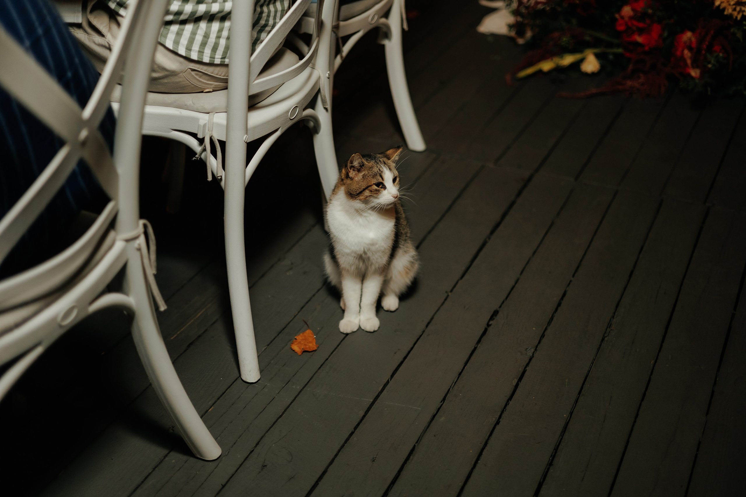 Vadim & Irina. ProWed — Foto Video Moldova și România