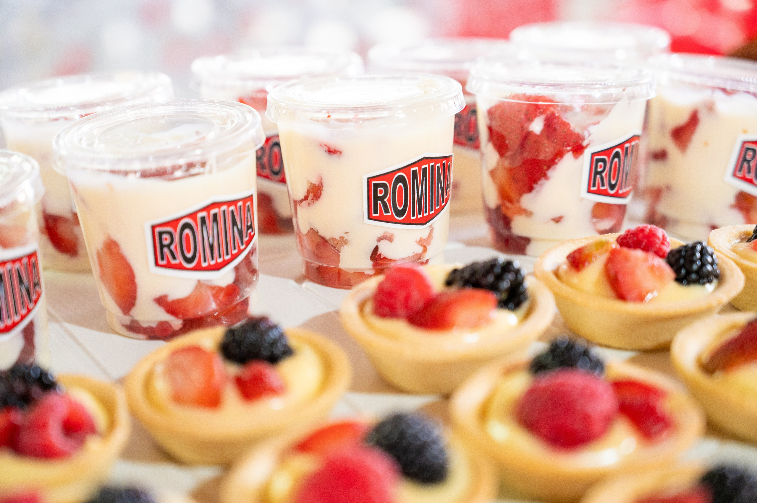 FIESTA ROMINA 8 AÑOS