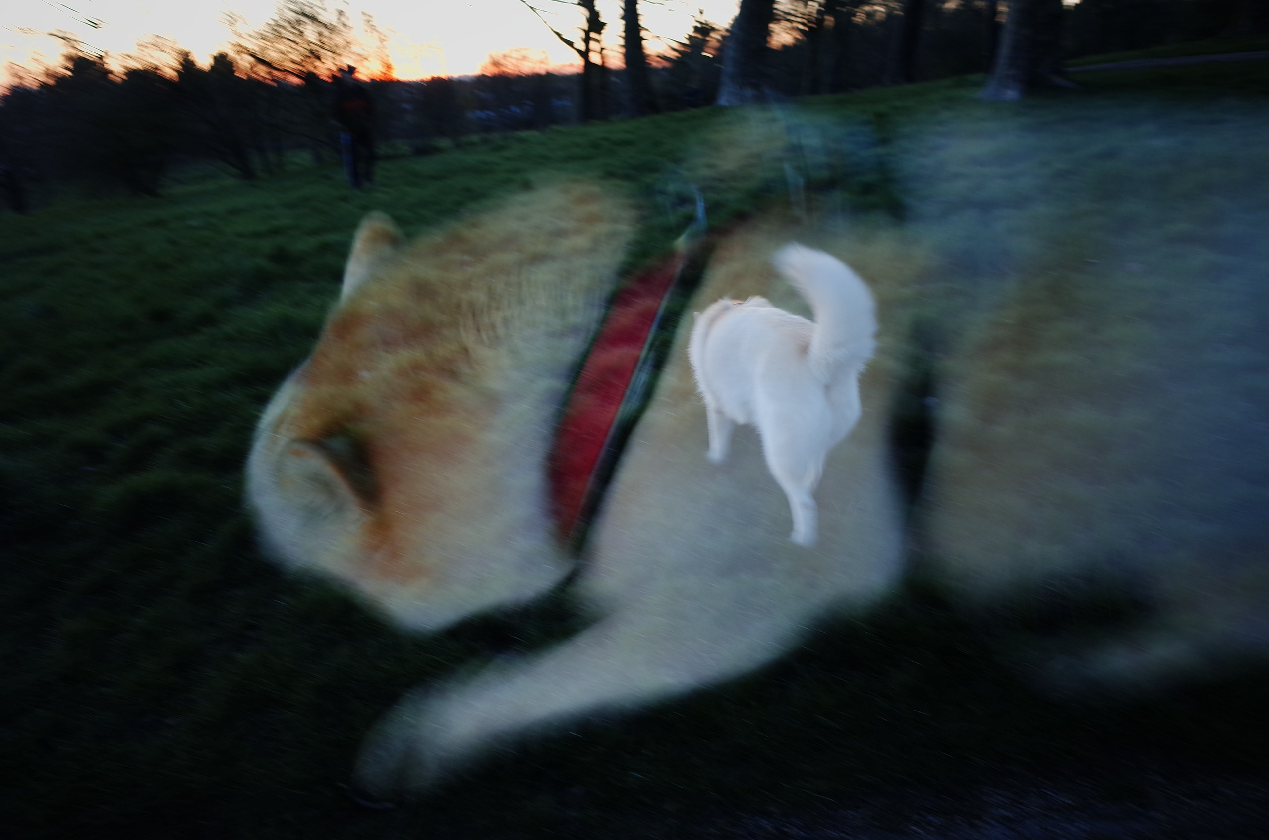 Victoria Dini. Art photography in London / Folkestone, UK