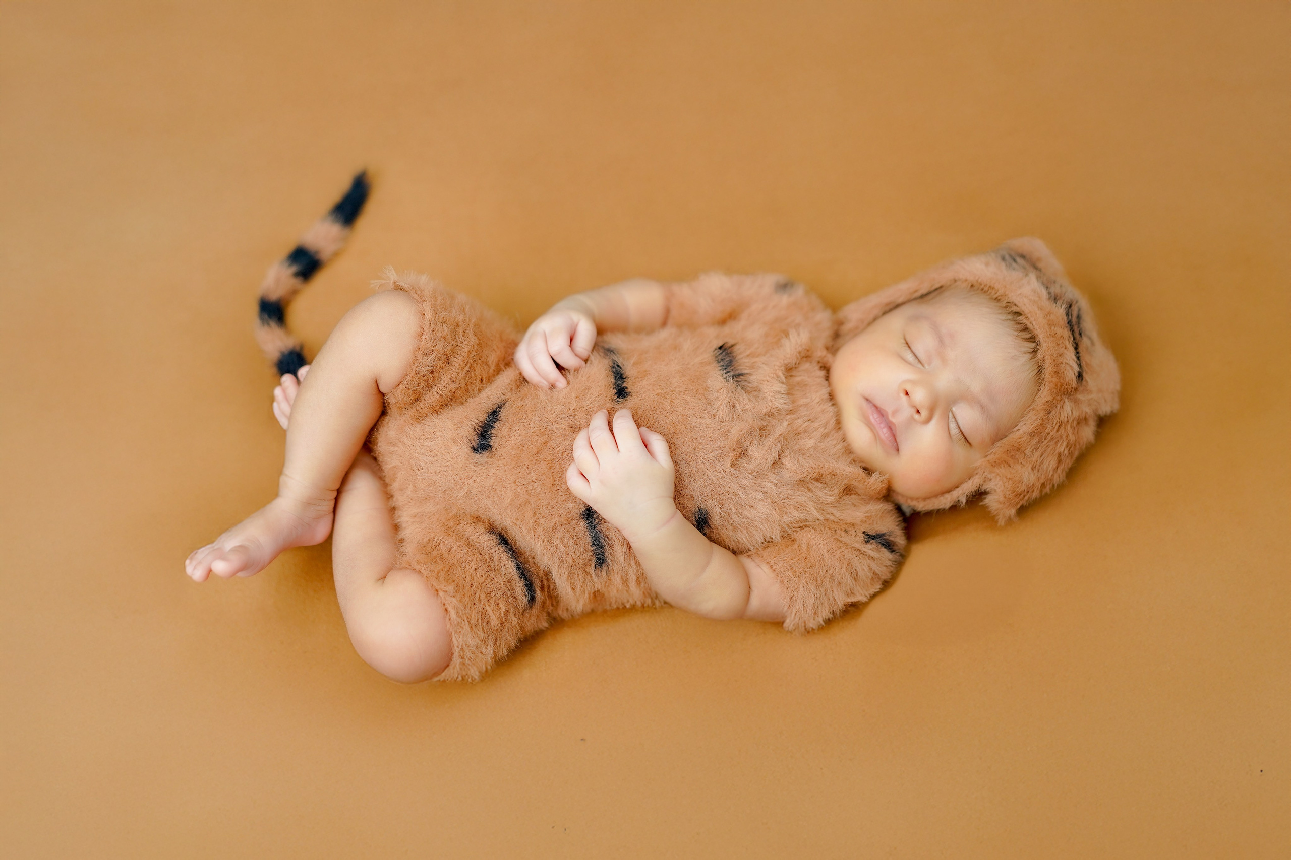 New born. TNF photo & filming