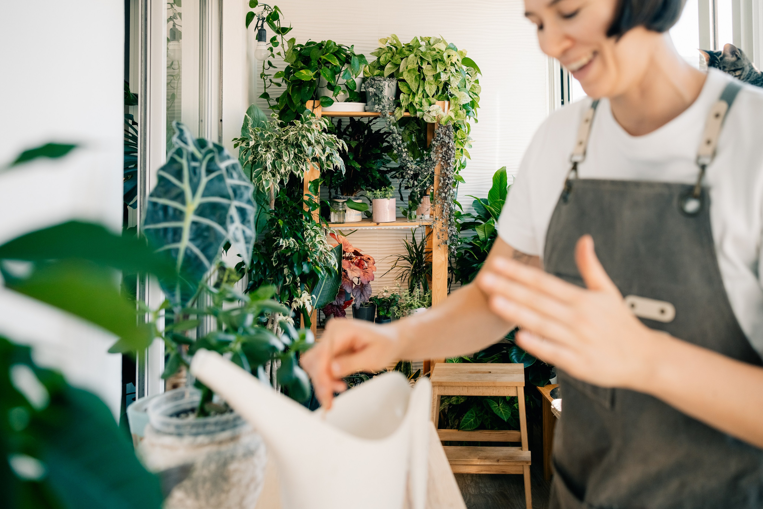 No Drama Plants. Maria Sher. Fotógrafa profissional do Porto, Portugal