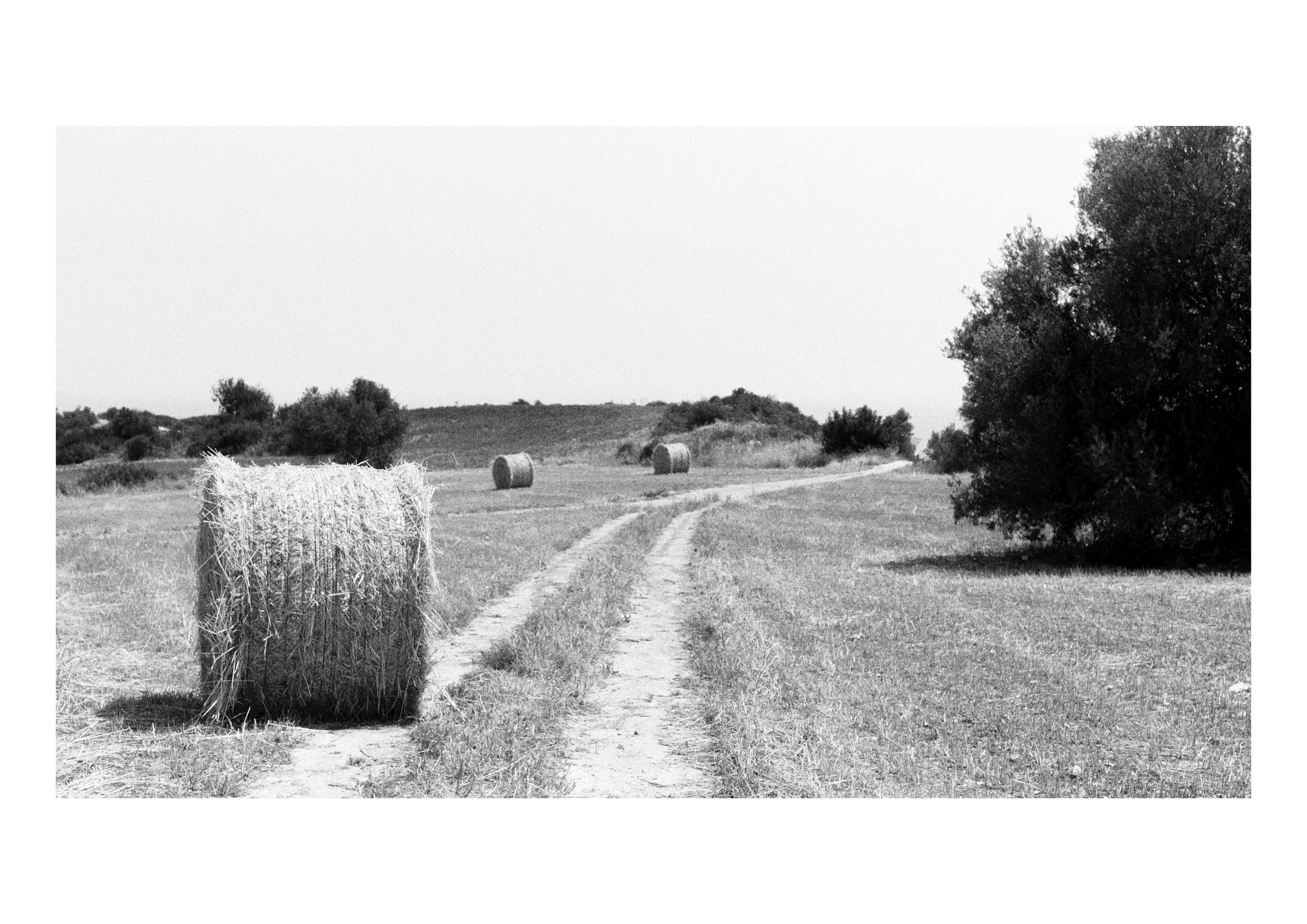 B&W. Cinema that you’ll never see