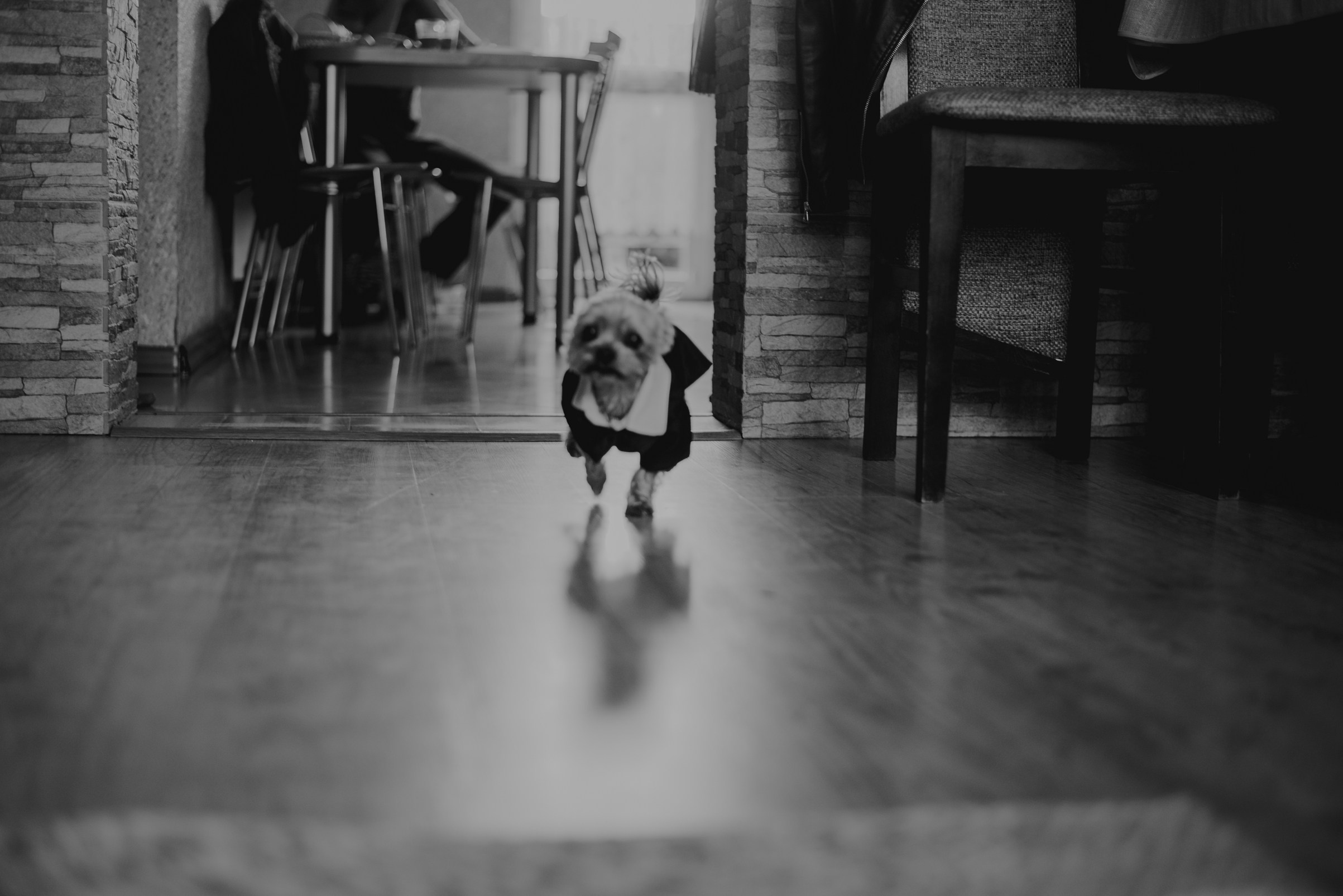 Agnieszka i Dawid. Dominika Strachacka Fotografia | Fotograf ślubny i rodzinny Opole Lubelskie Lublin