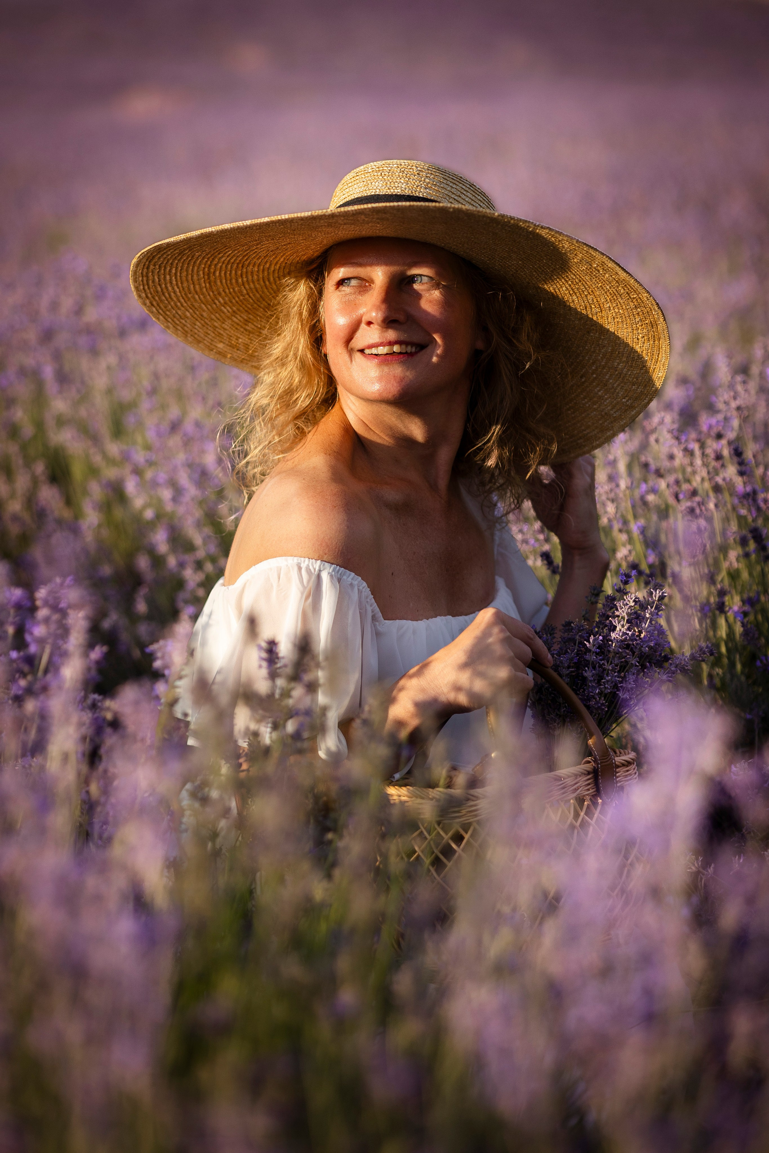 Lavendel. Photographer in Munich
