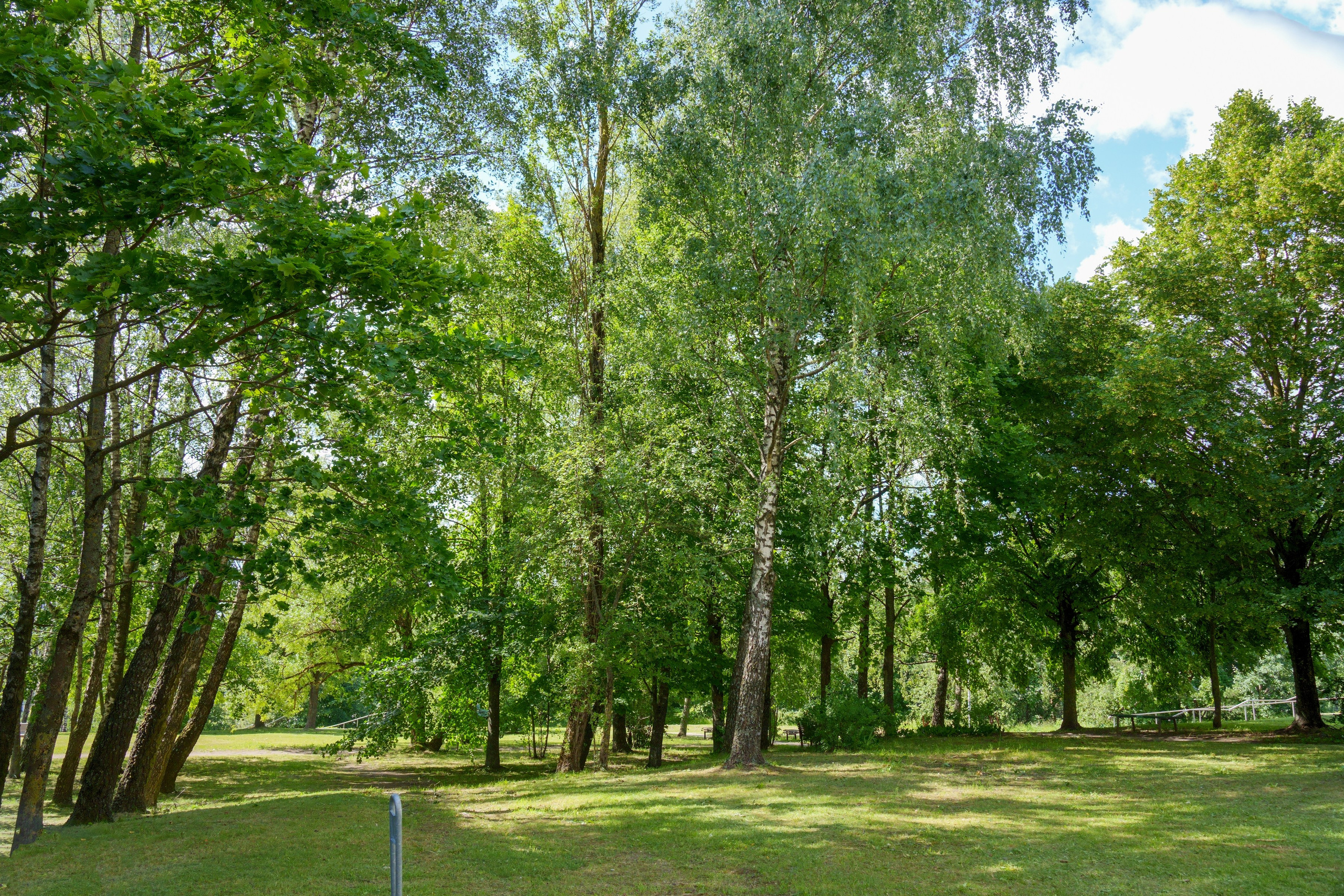 Viršuliškių g. 29. Elina Sapiega fotografė Vilniuje