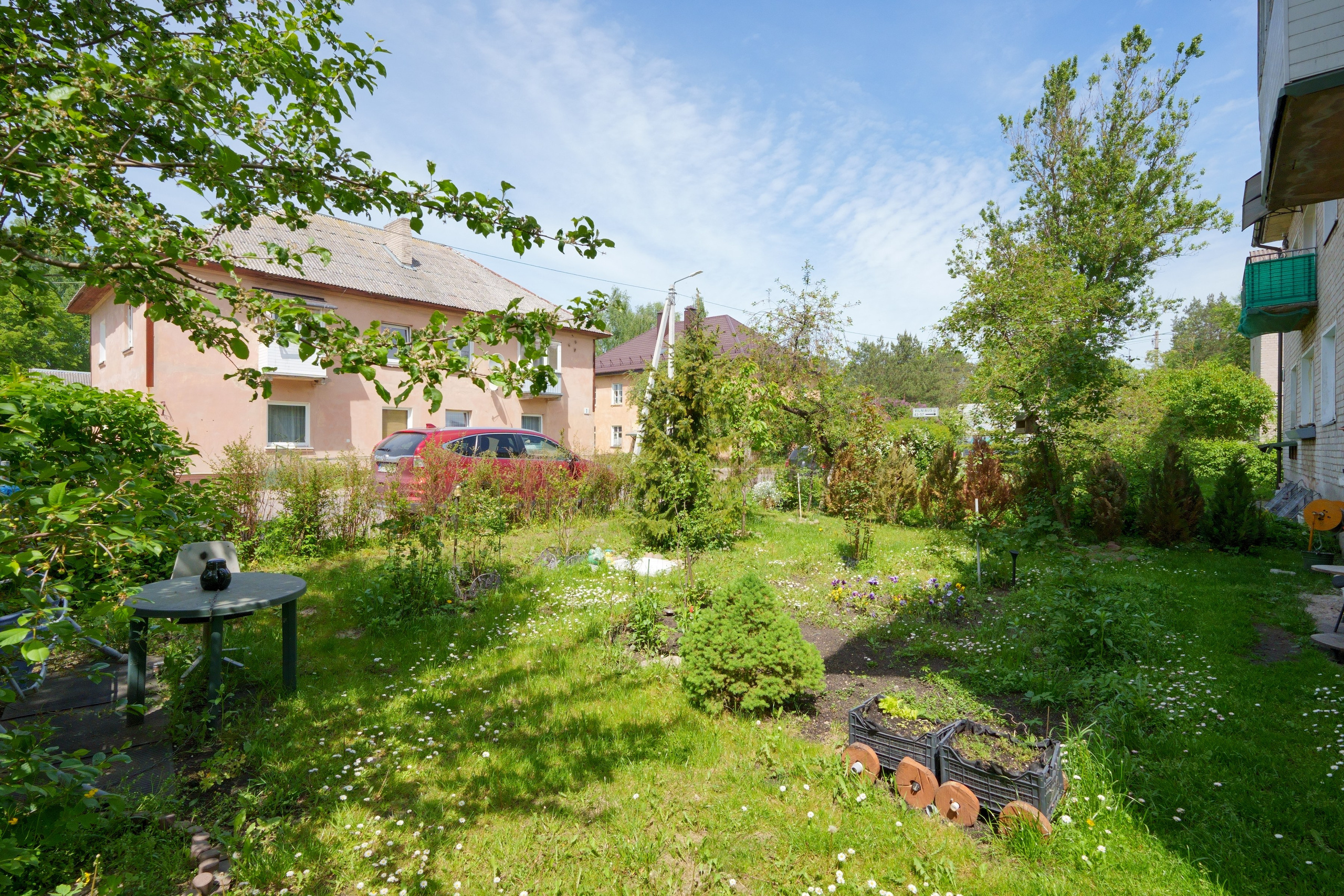 Grigiškės. Elina Sapiega fotografė Vilniuje