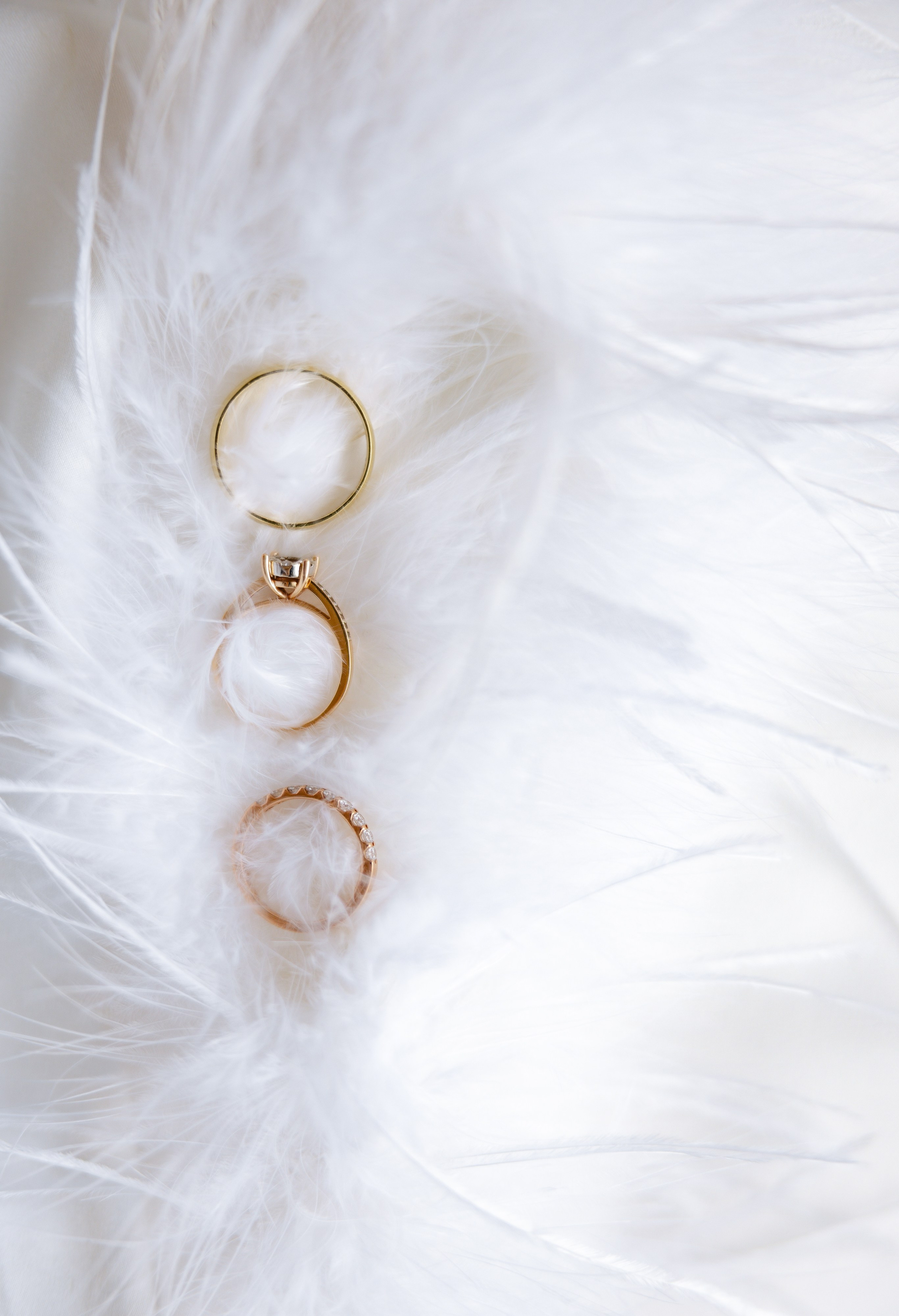 Vitalii and Diana. Massachusetts. Photographer Anastasia Nagibina