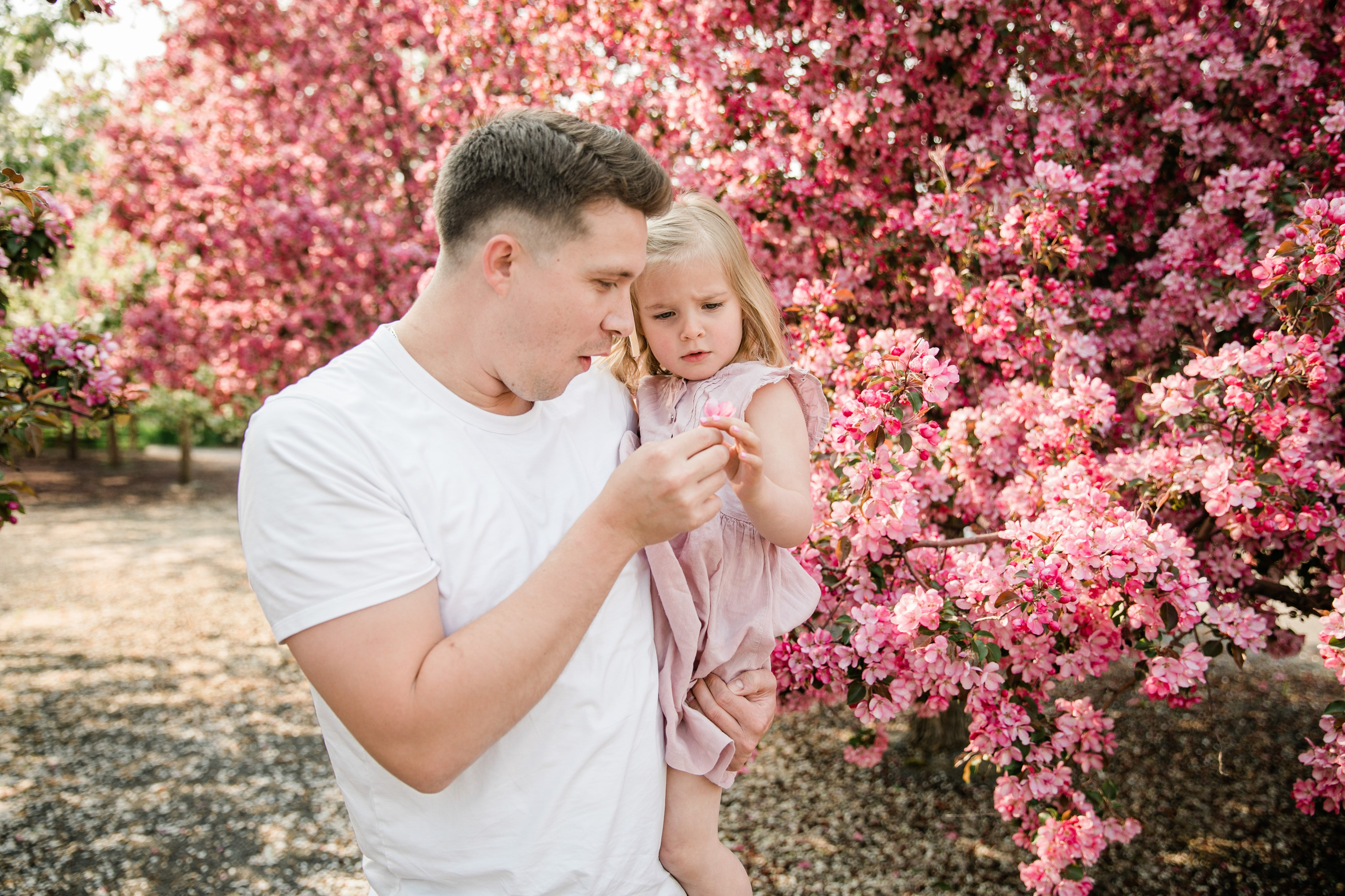 Cherry Blossom Pitcher’s Family. Ching Li Photography