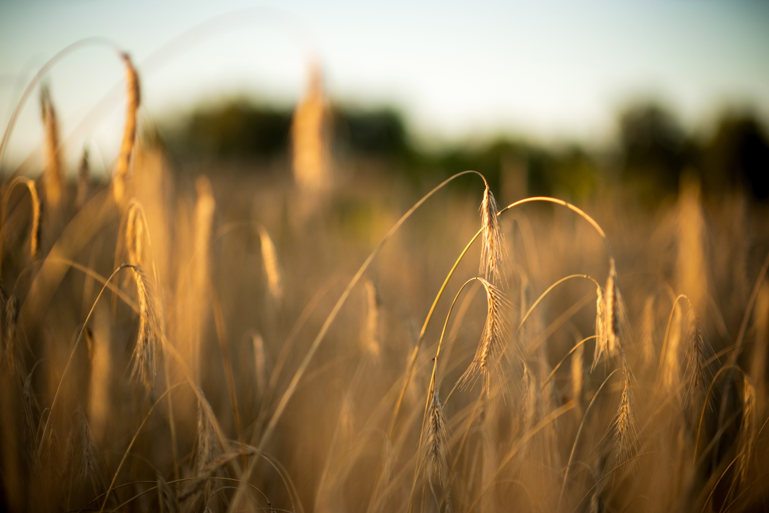 Jelena. Ritvars Pujats Emotion Photographer