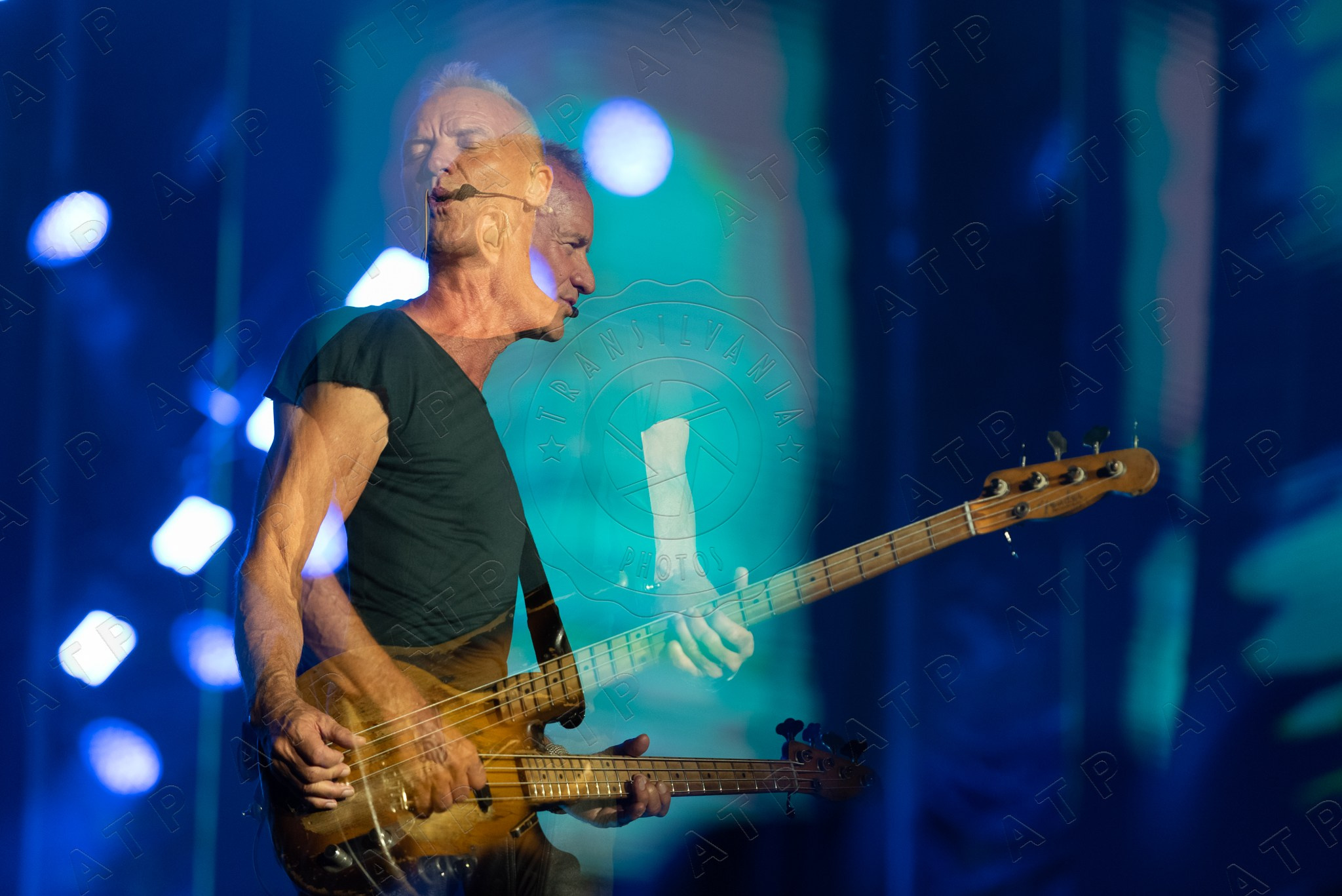 Concert. Vescan Pictures - fotografie de eveniment