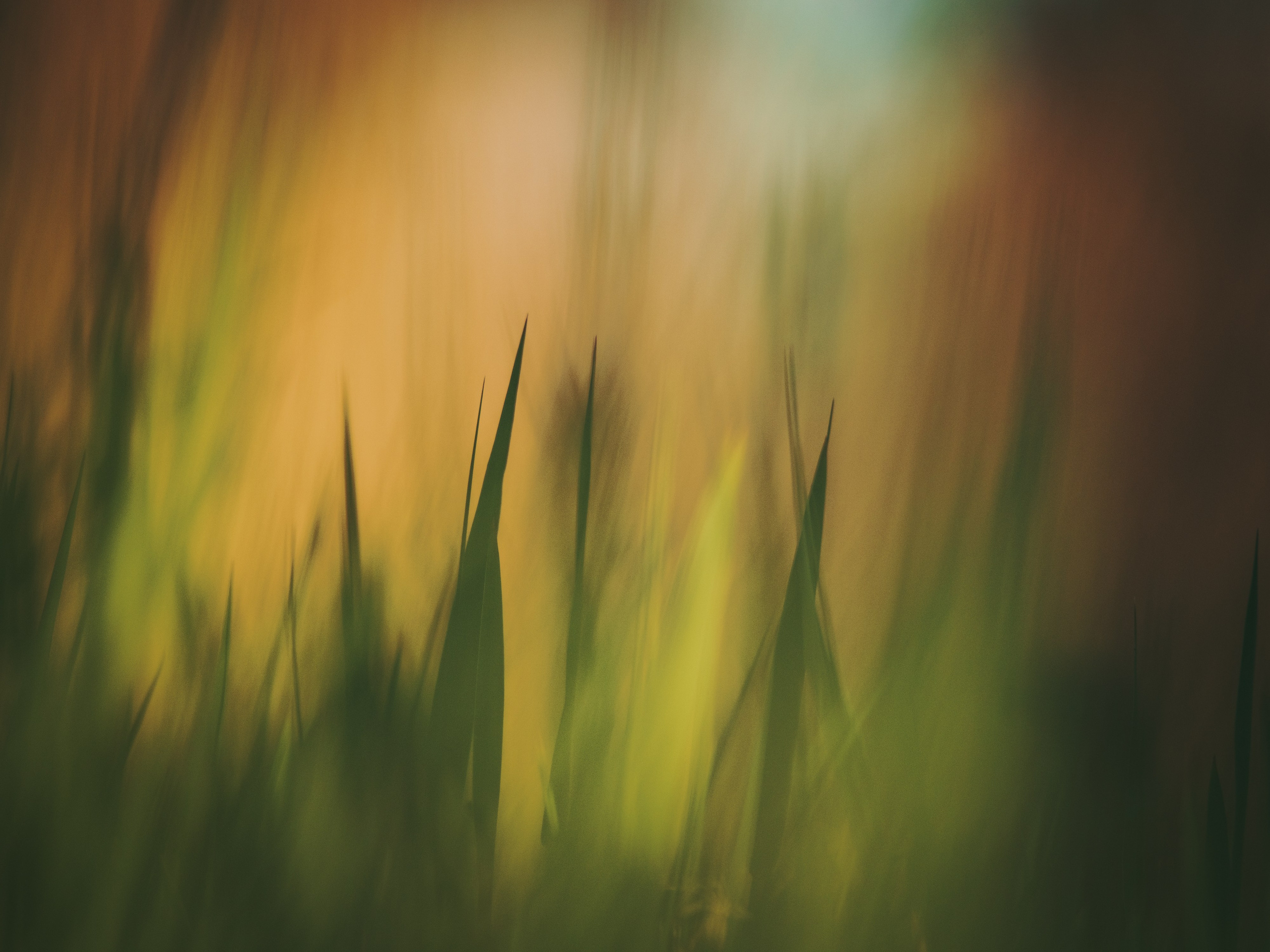 Intimate Landscapes. Nature Photographer and Videographer from Germany
