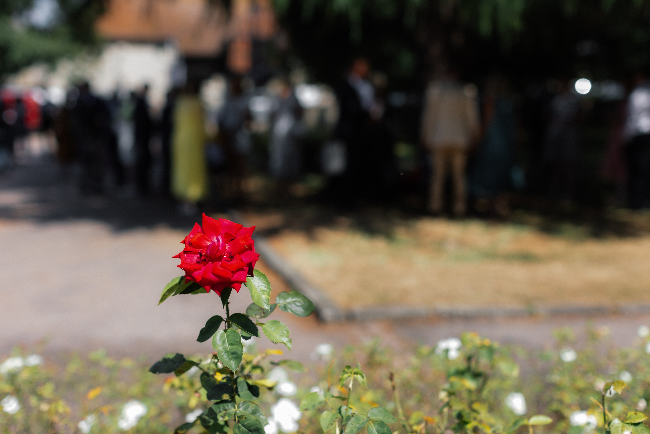 Paula & Ed — Maidstone. August, 2022. Timeless Wedding & Event Photography from London to the world