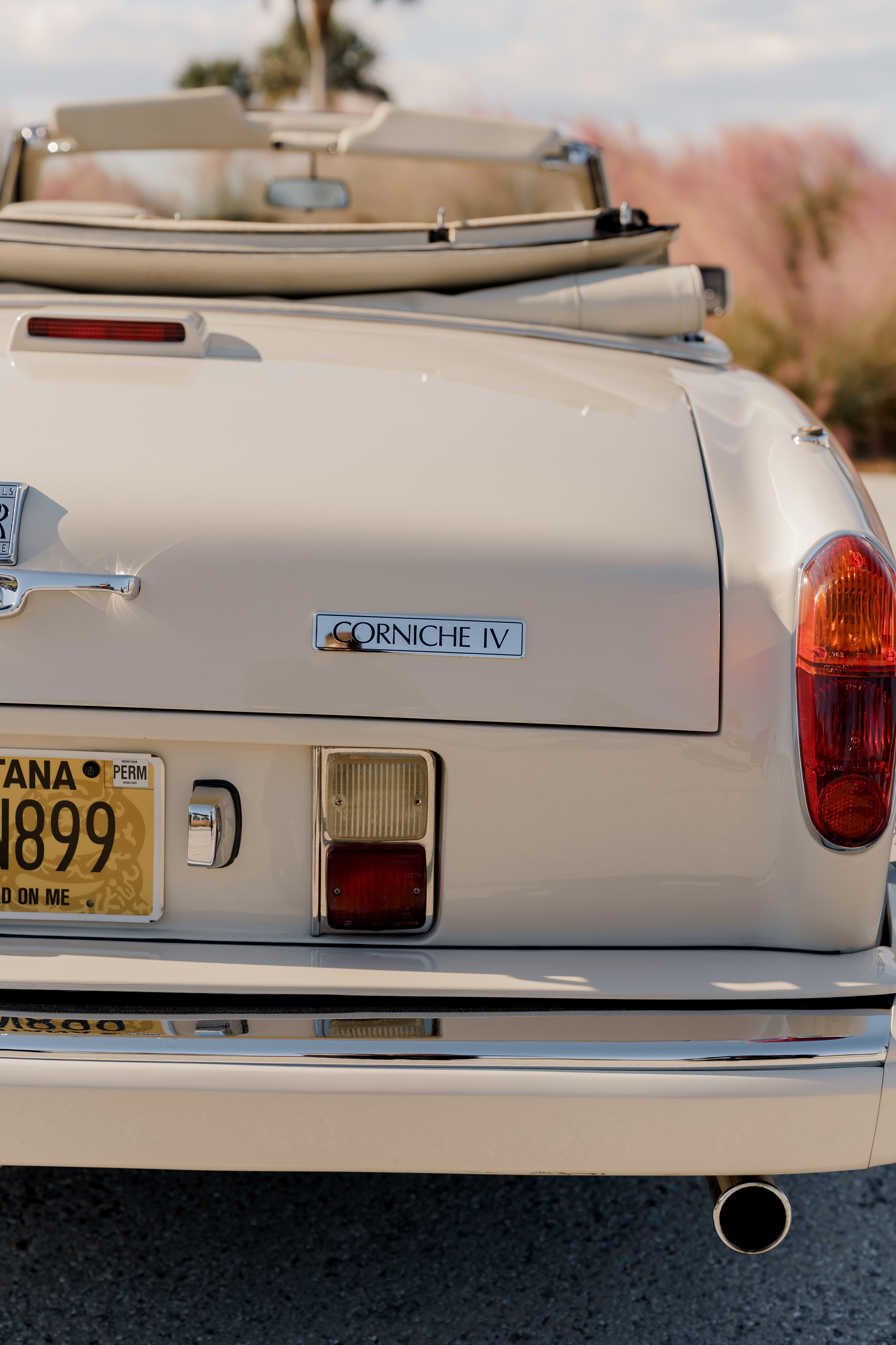 Marci and Yi. Wedding photographer and videographer New York | New Jersey