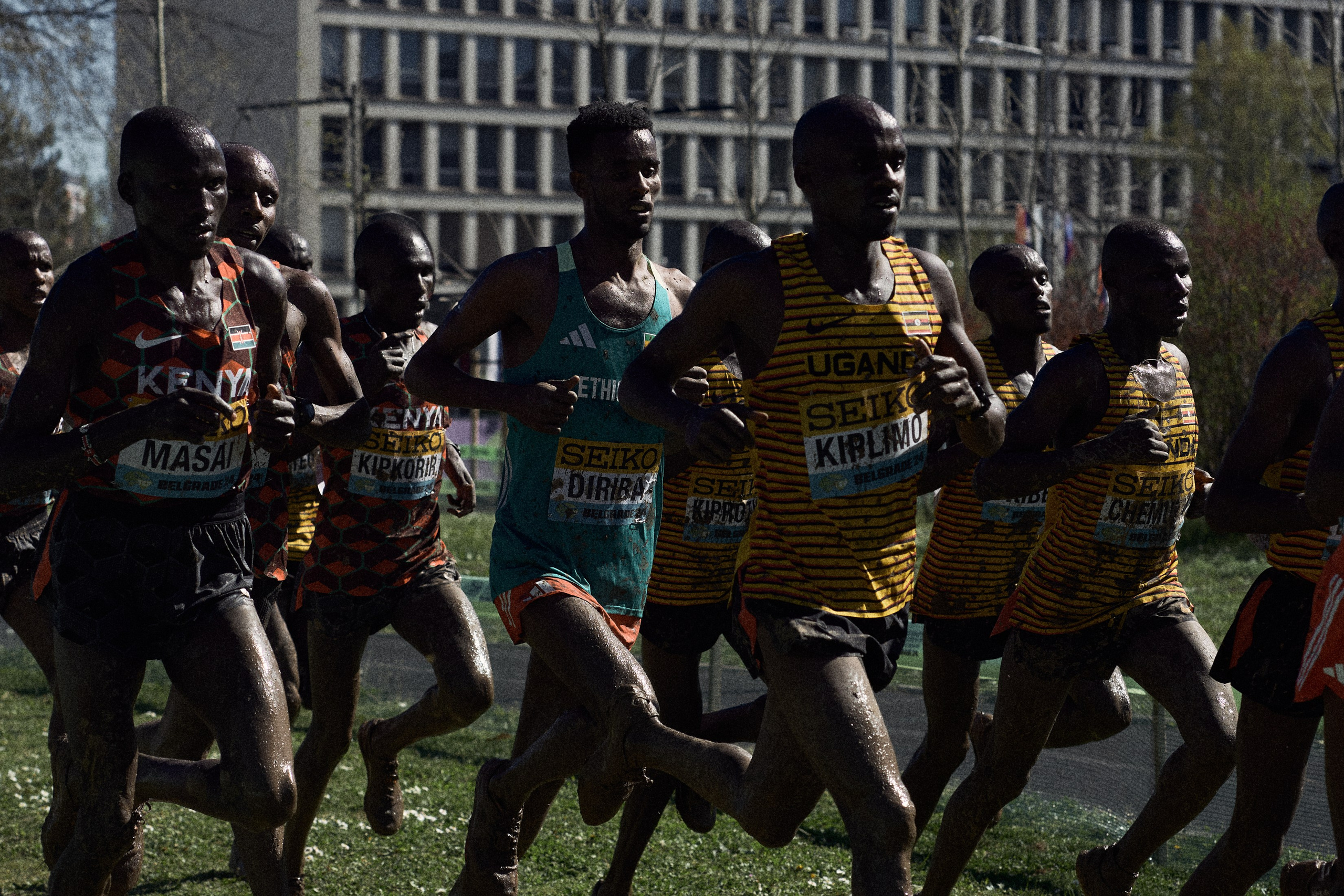 Cross Country Championship 2024 #running. Photographer Evgeniya Dovgalyuk
