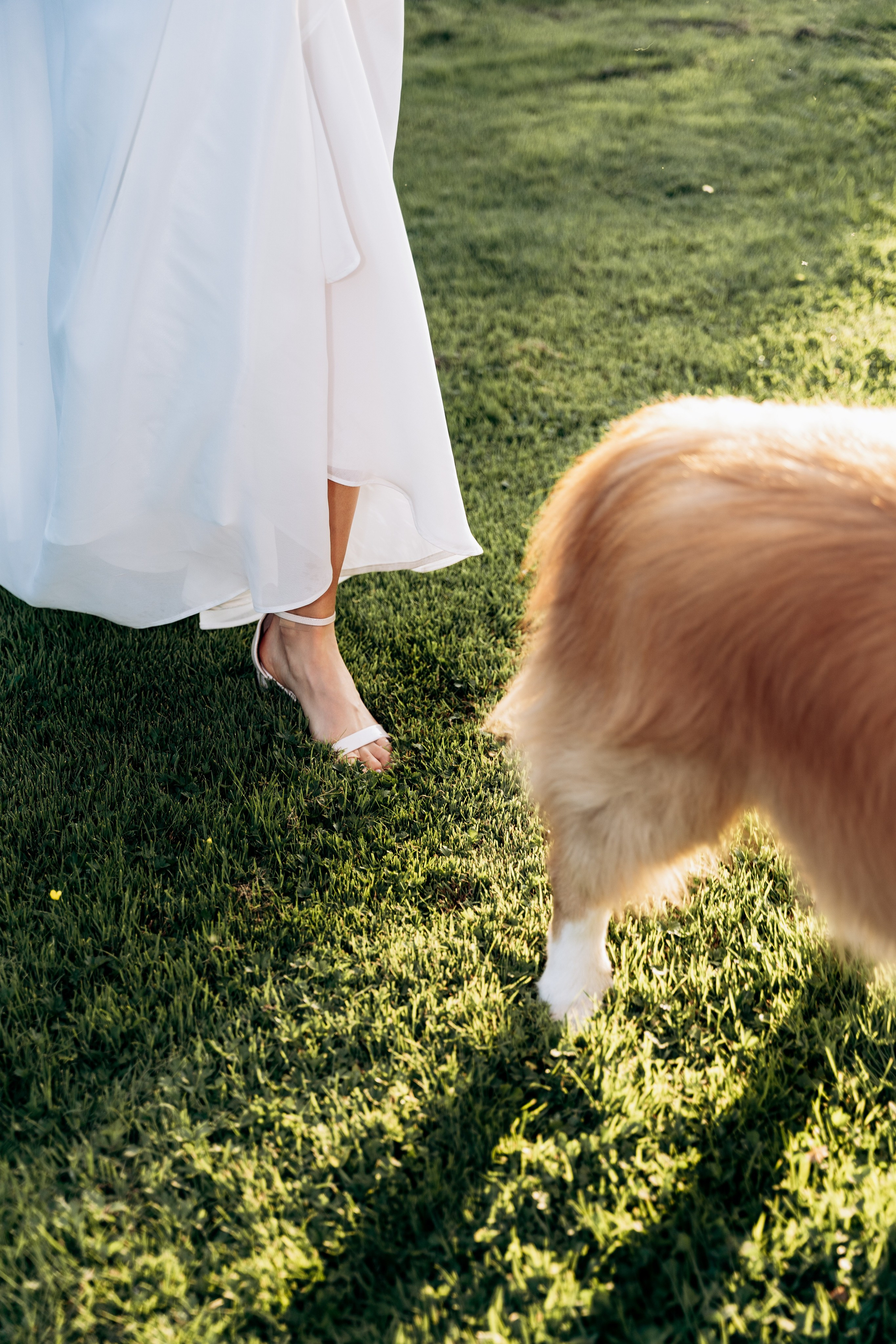 D&P. SL Wedding Photo: ponadczasowa fotografia ślubna | Wrocław & Europa