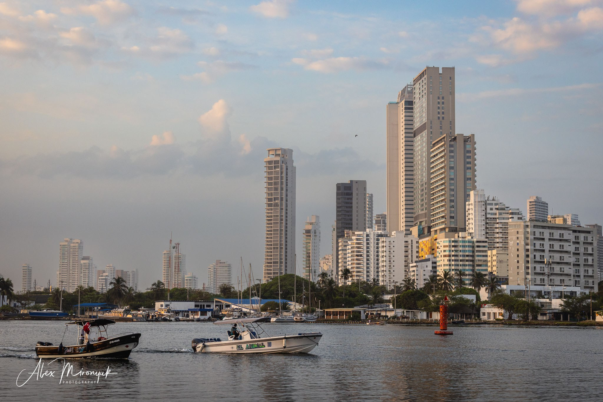 Colombia in Style. Pet, Senior, Landscape, portrait studio, photographer in Miami and Sou