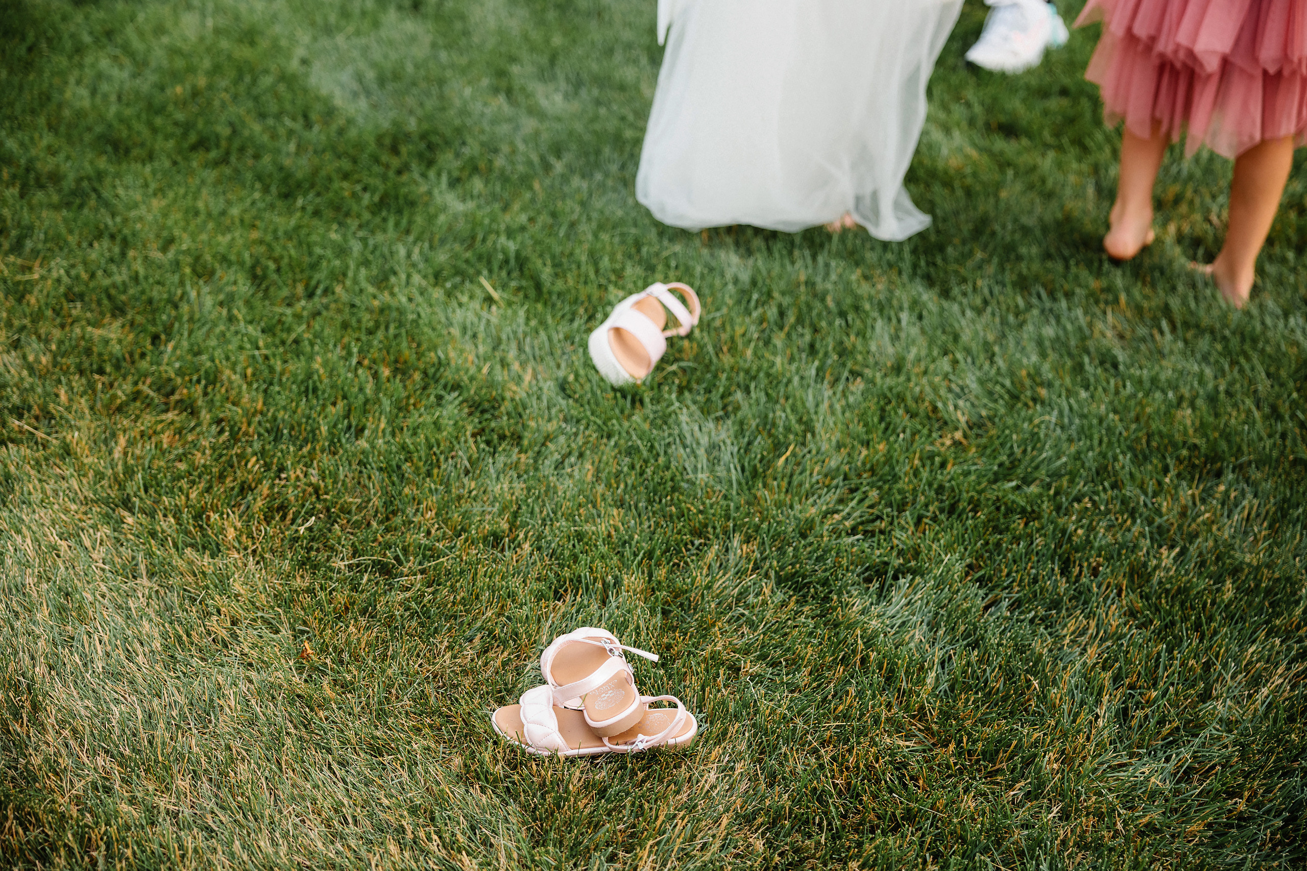 06.24.2023 Wedding. Wedding family event photographer in Chicago Nick Yushevich