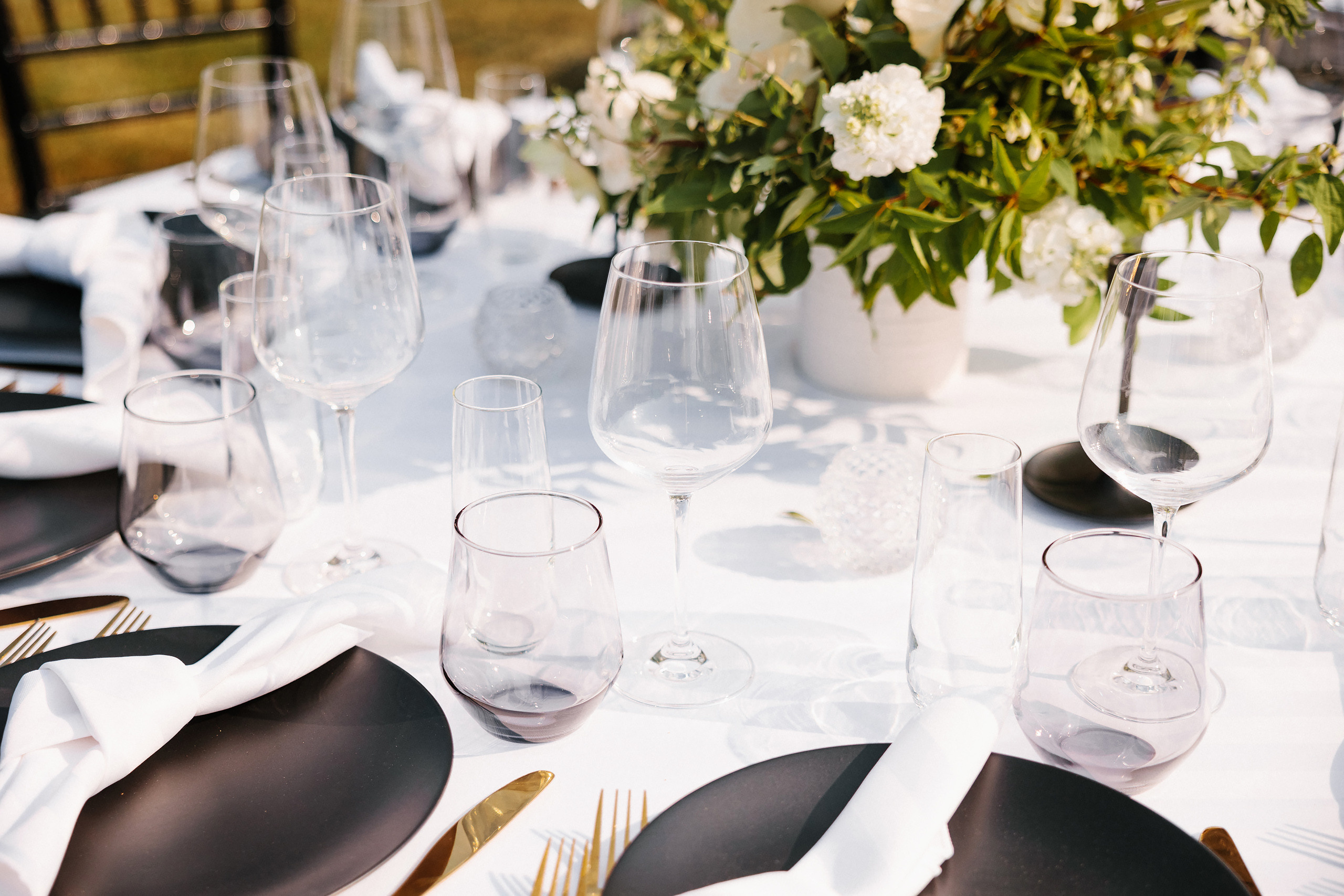 06.24.2023 Wedding. Wedding family event photographer in Chicago Nick Yushevich