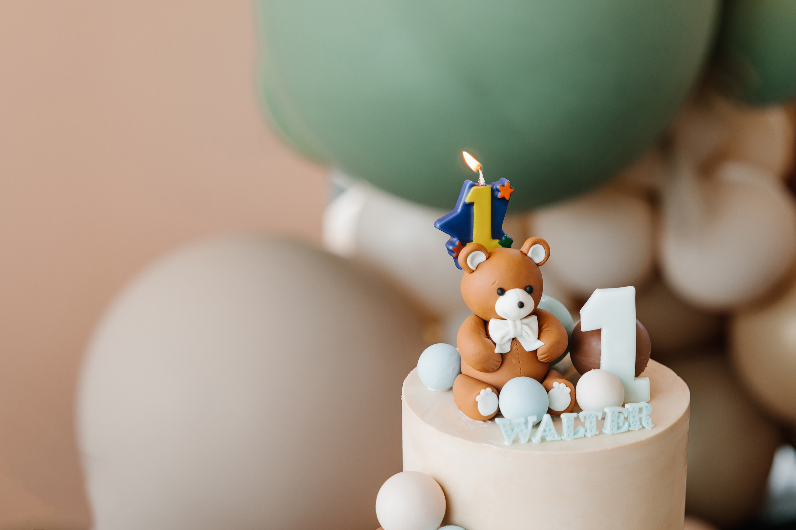 06.10.2023 First birthday. Wedding family event photographer in Chicago Nick Yushevich