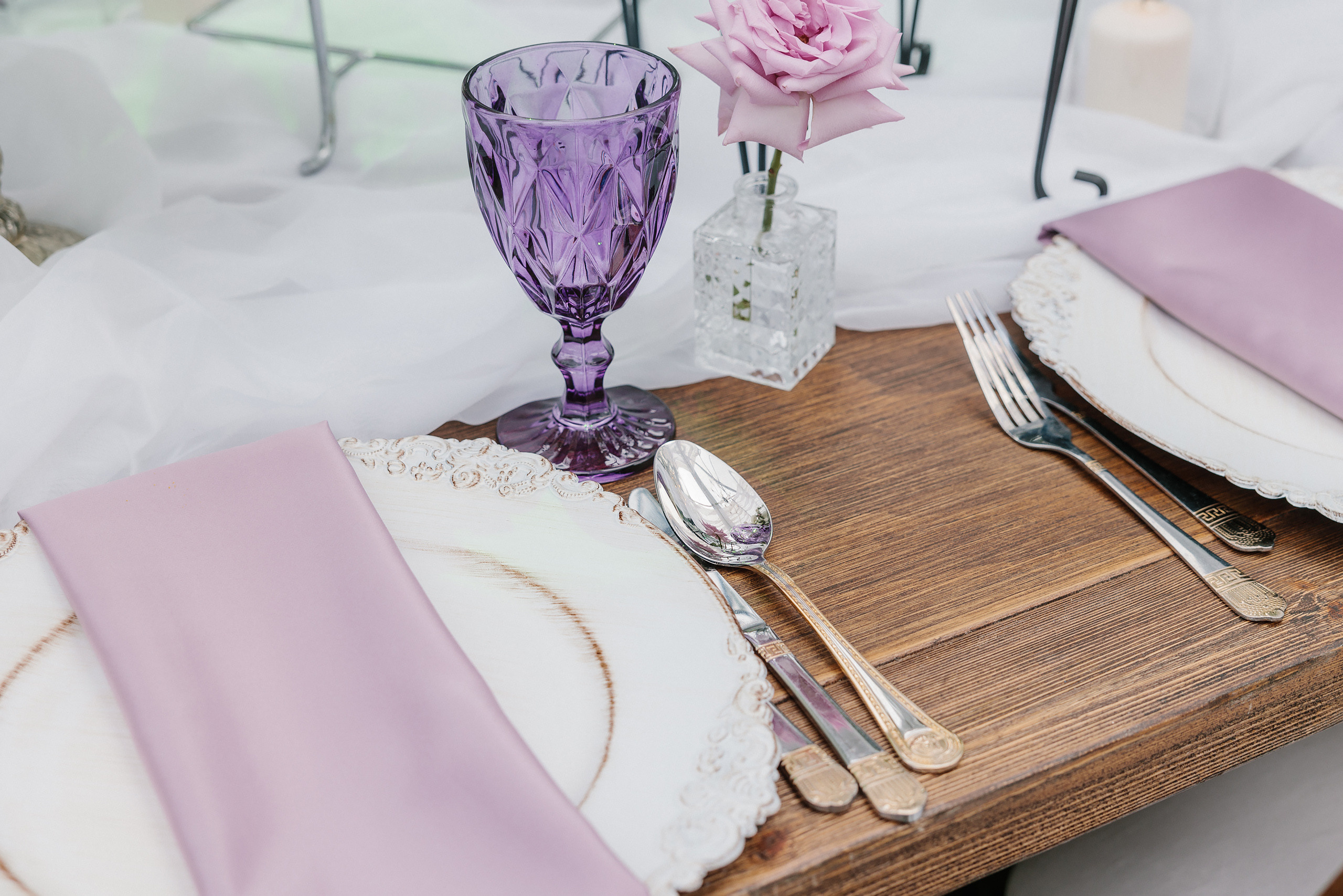 07.01.2023 Anniversary Party. Wedding family event photographer in Chicago Nick Yushevich