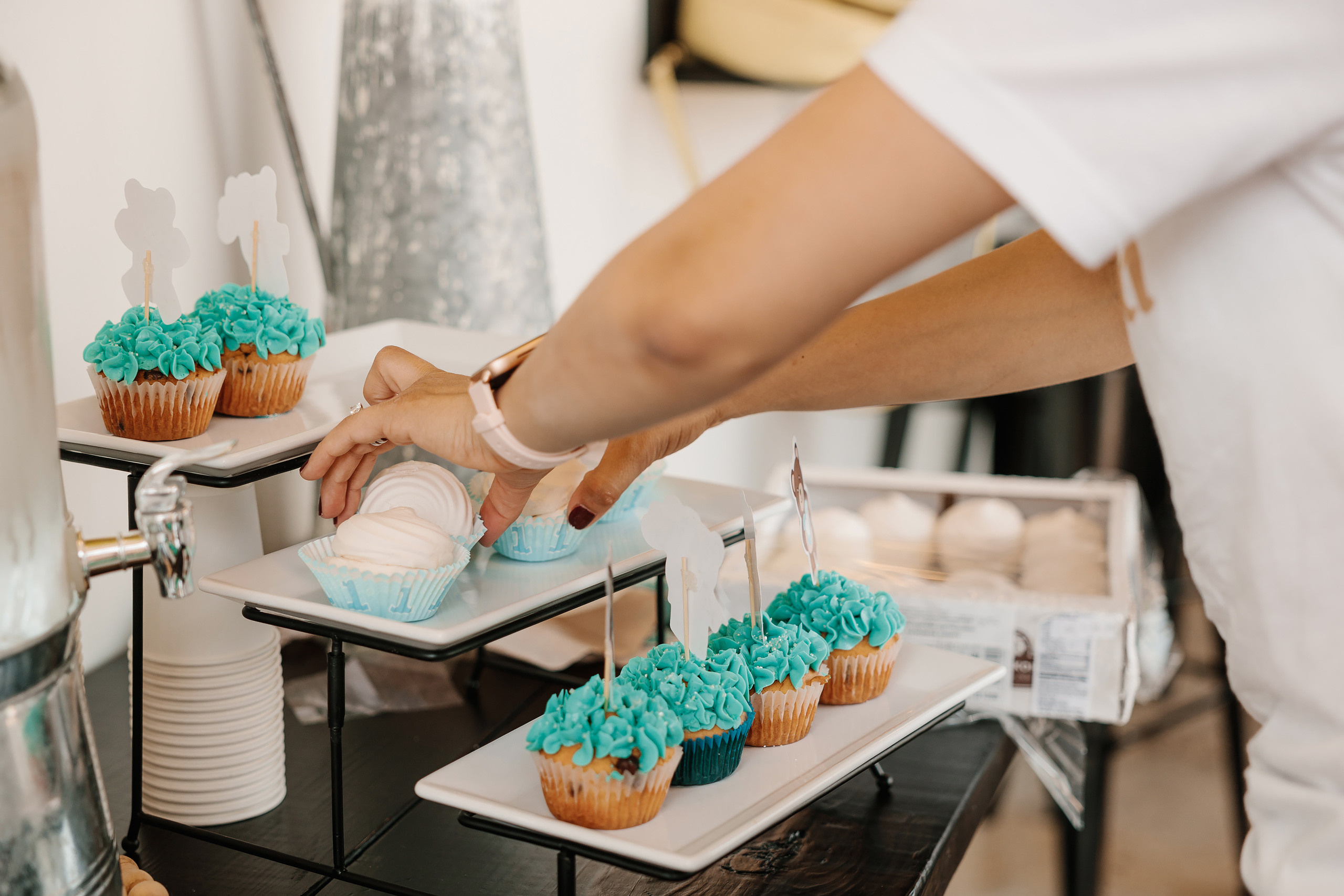 06.10.2023 First birthday. Wedding family event photographer in Chicago Nick Yushevich