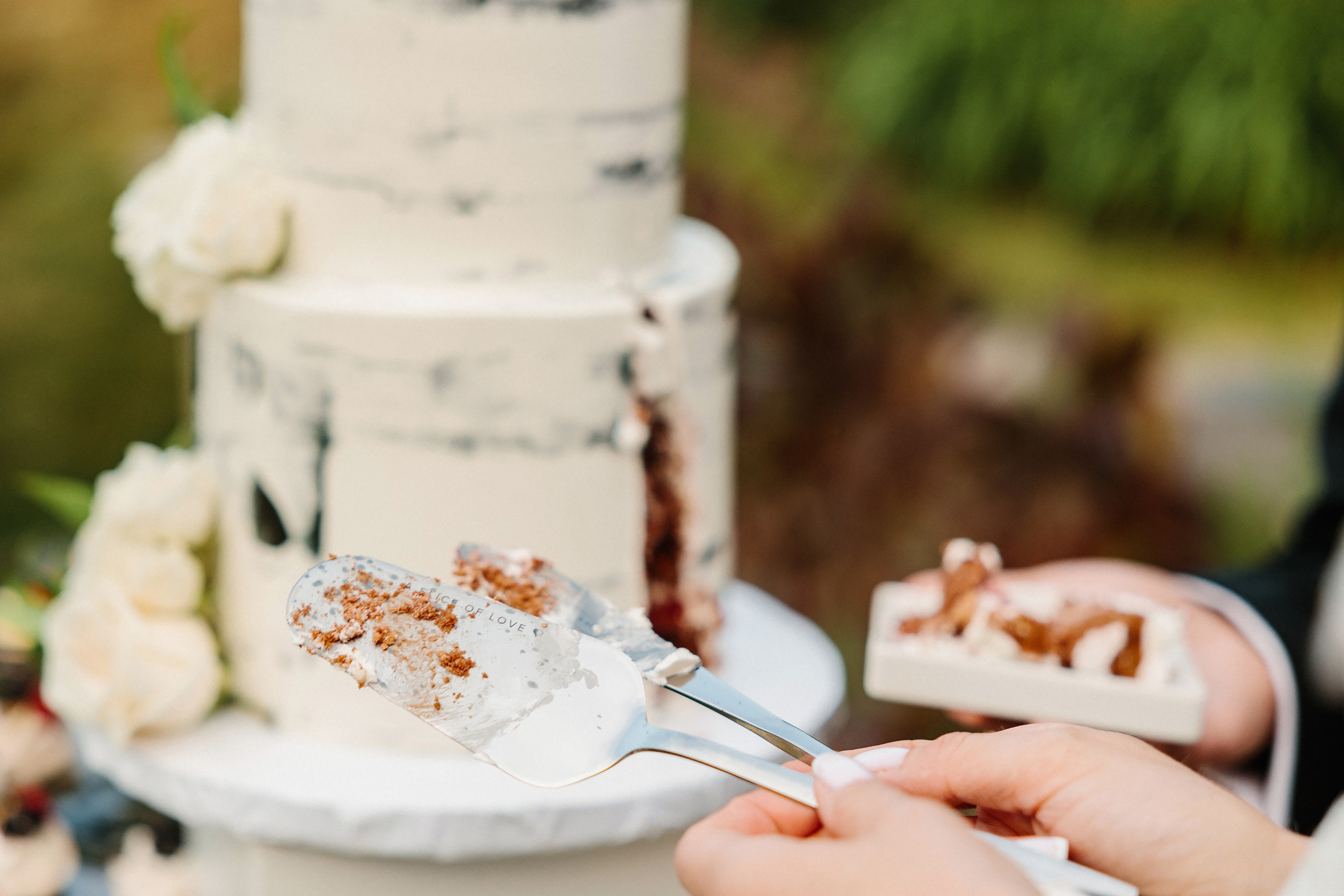 06.24.2023 Wedding. Wedding family event photographer in Chicago Nick Yushevich