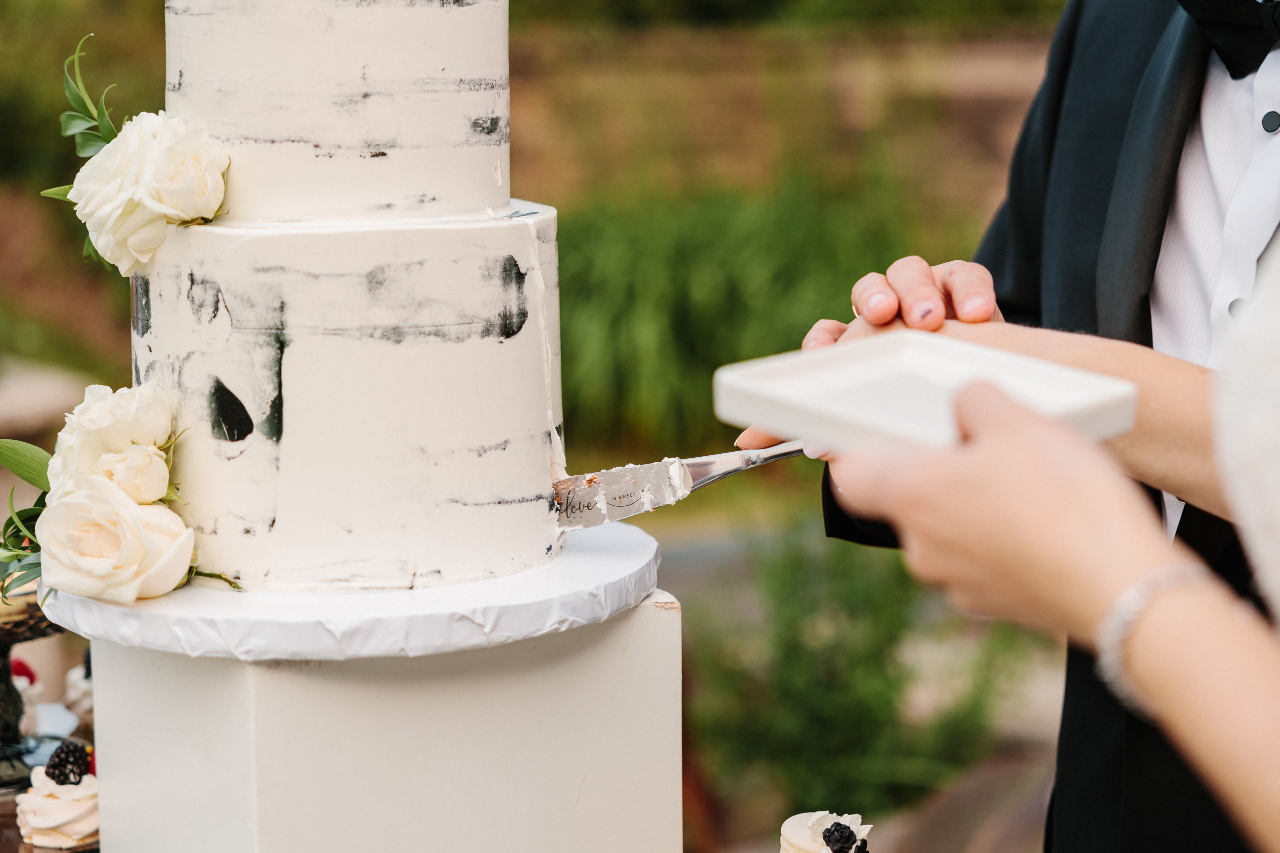 06.24.2023 Wedding. Wedding family event photographer in Chicago Nick Yushevich