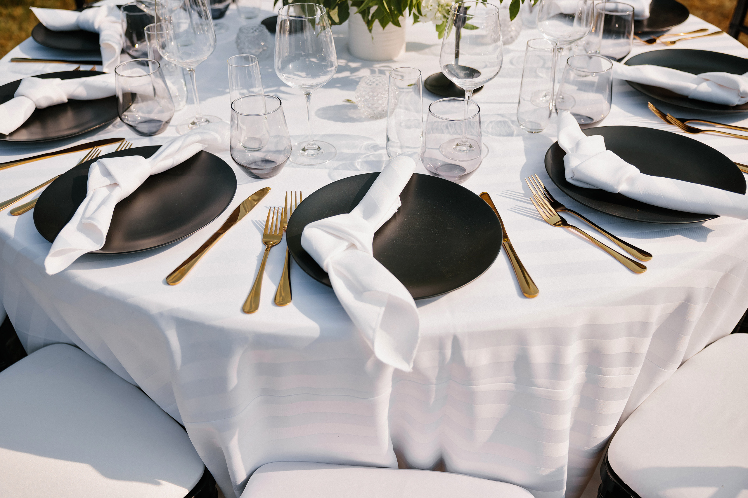 06.24.2023 Wedding. Wedding family event photographer in Chicago Nick Yushevich