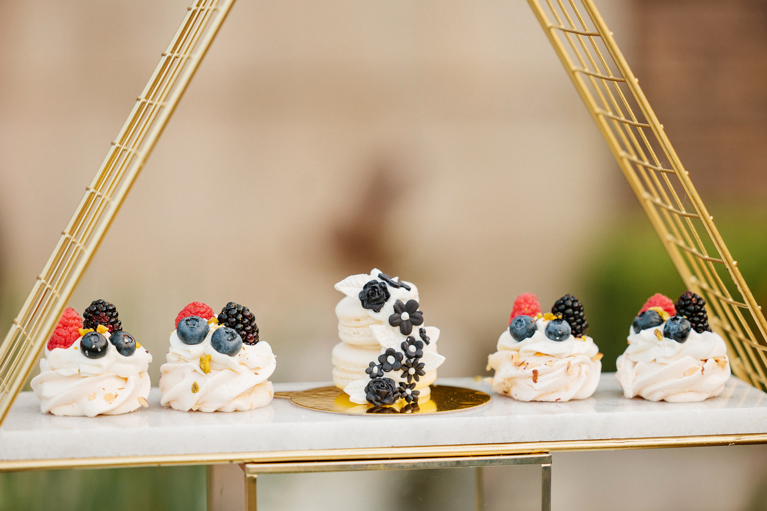 06.24.2023 Wedding. Wedding family event photographer in Chicago Nick Yushevich