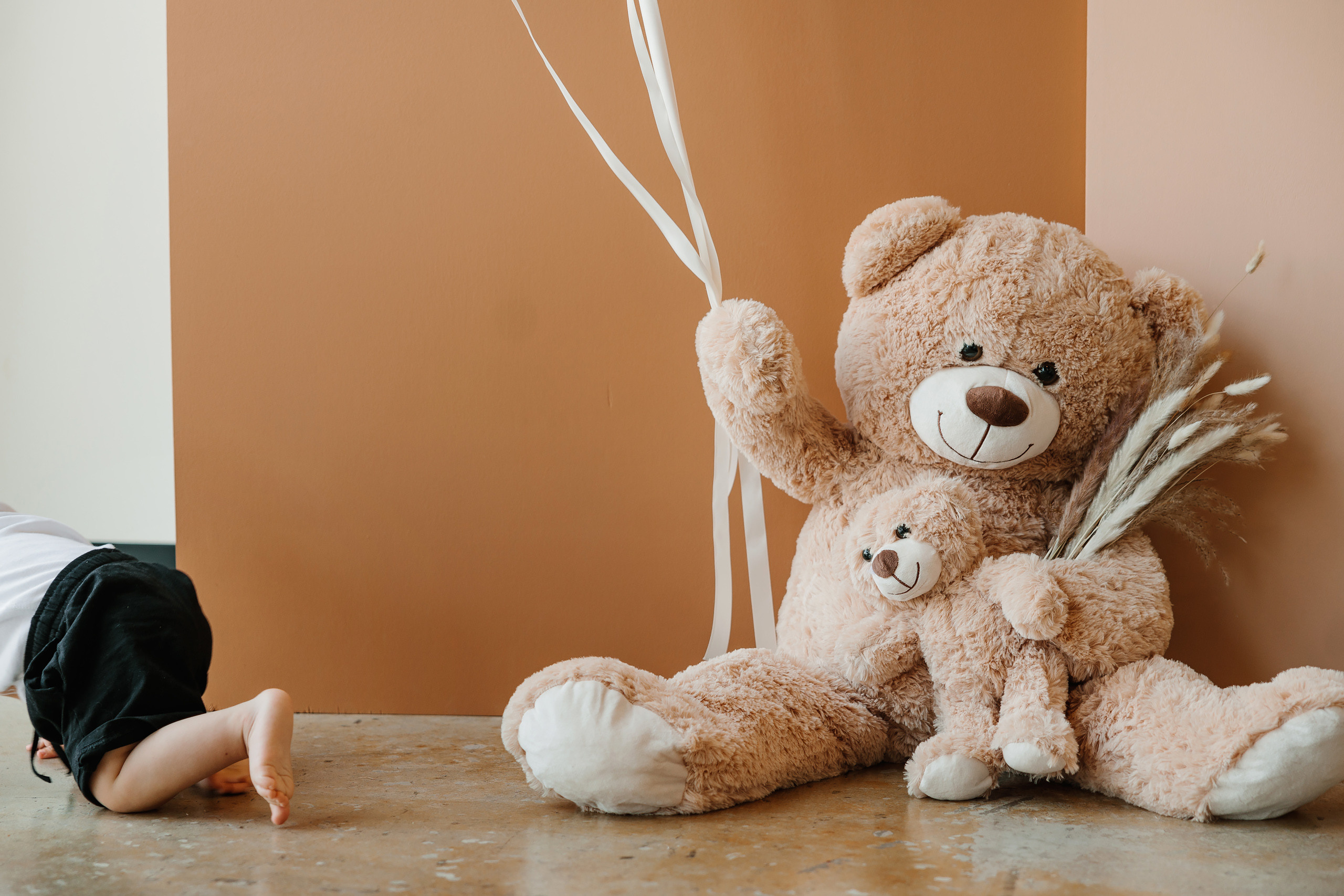 06.10.2023 First birthday. Wedding family event photographer in Chicago Nick Yushevich