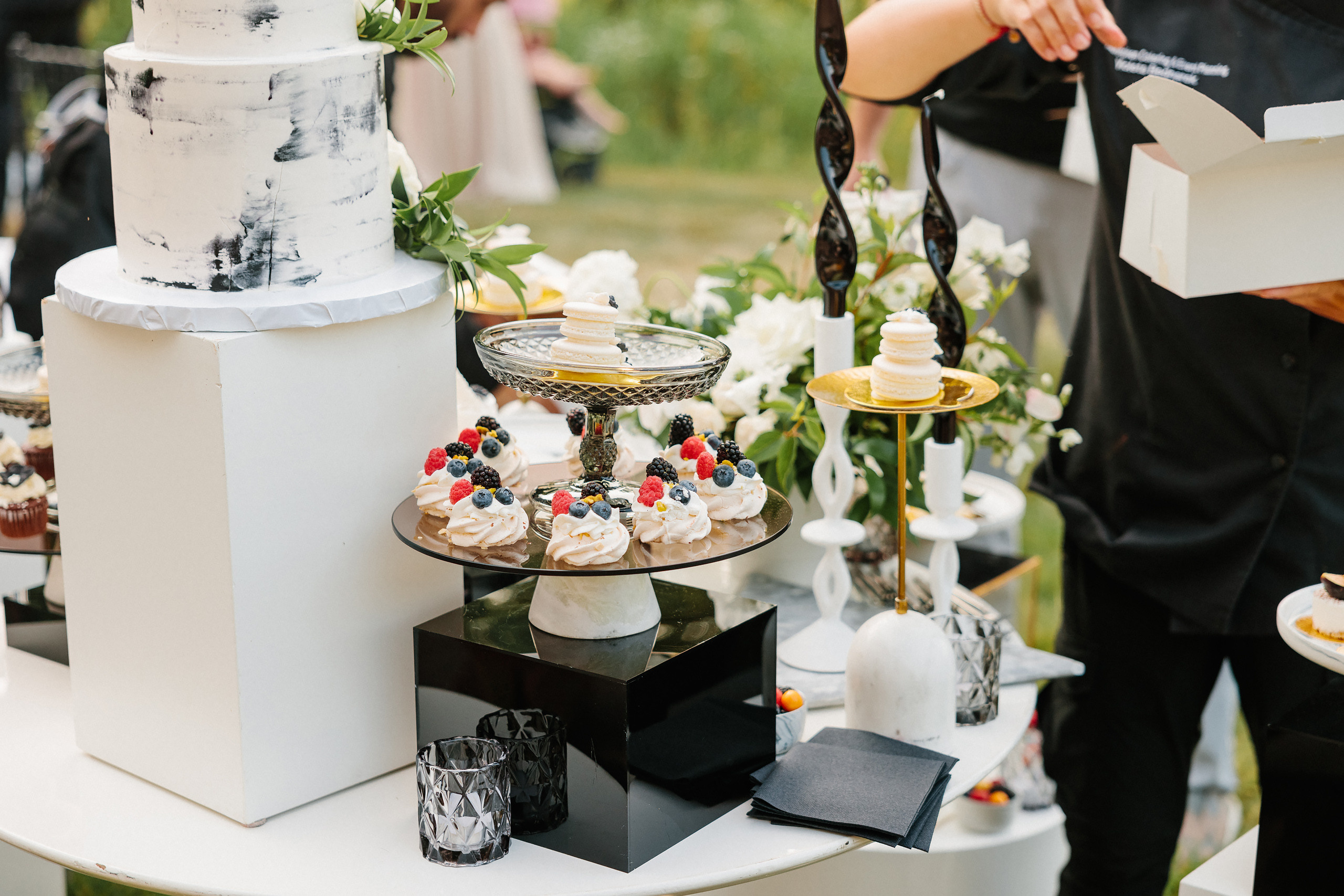 06.24.2023 Wedding. Wedding family event photographer in Chicago Nick Yushevich