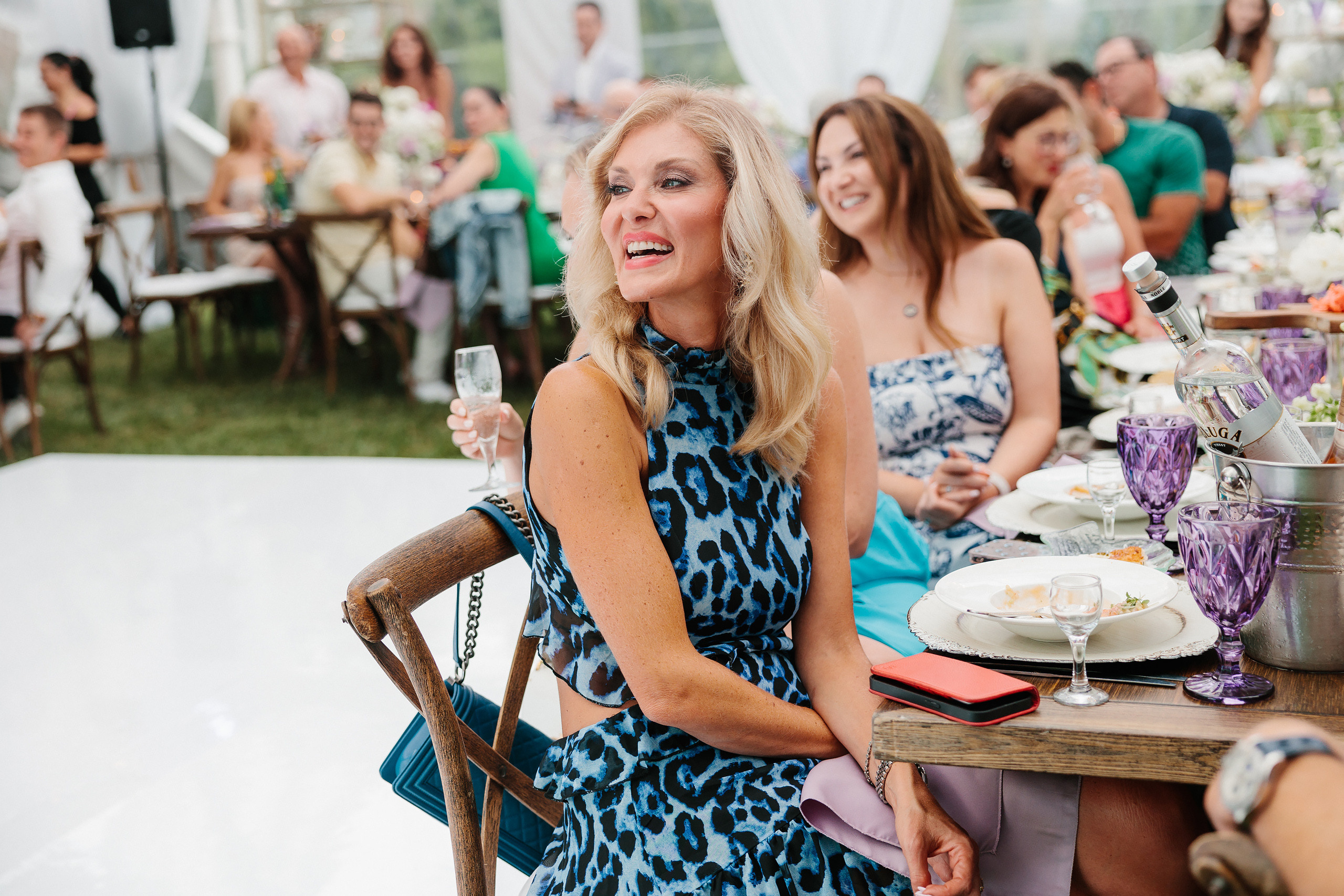 07.01.2023 Anniversary Party. Wedding family event photographer in Chicago Nick Yushevich