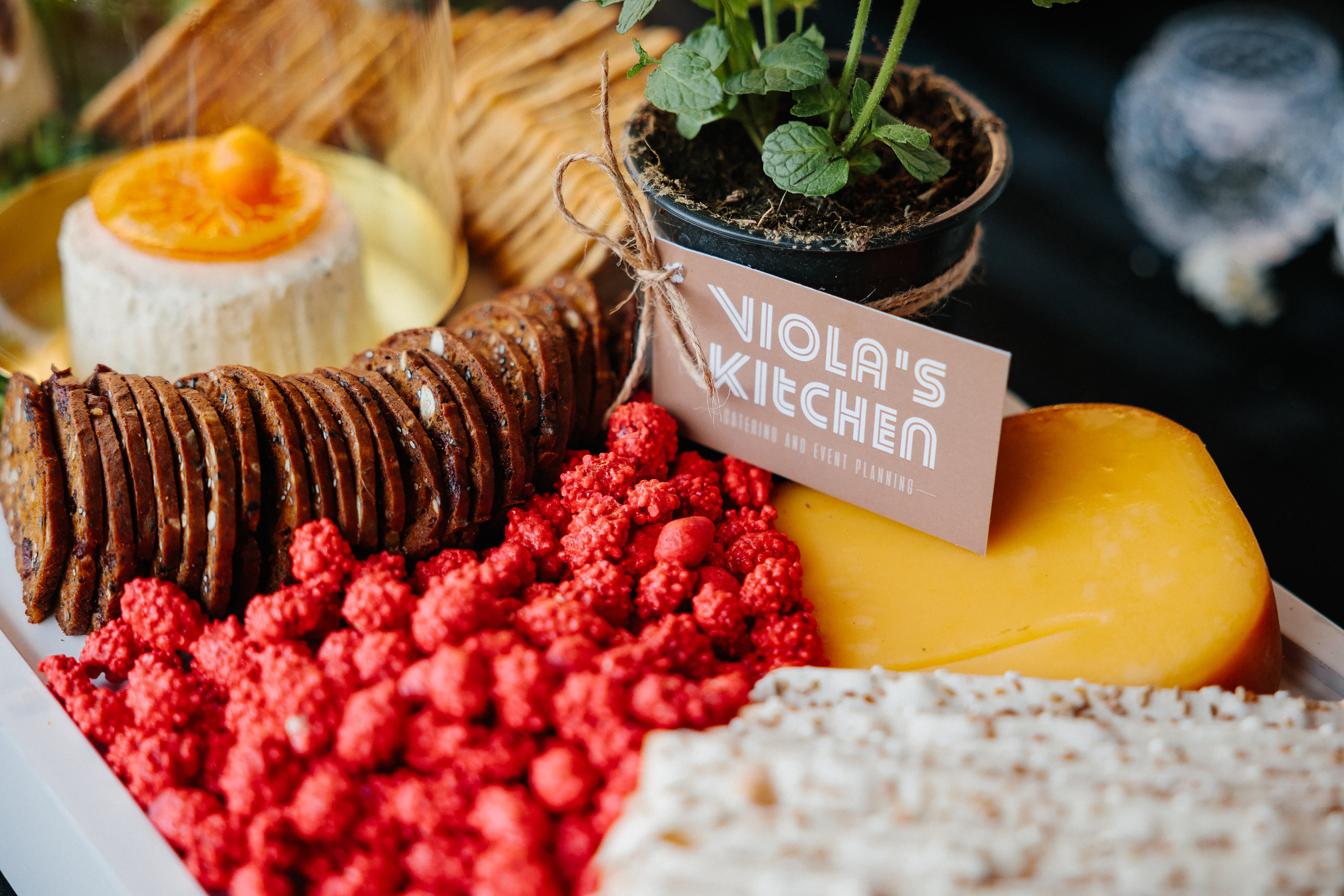 06.24.2023 Wedding. Wedding family event photographer in Chicago Nick Yushevich