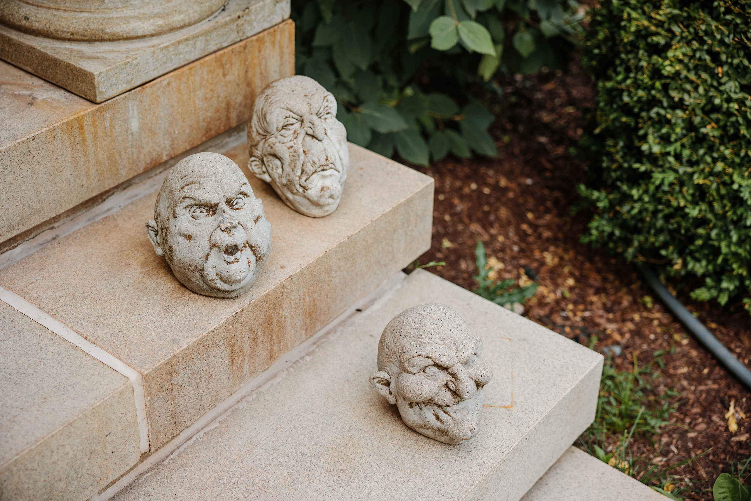 06.24.2023 Wedding. Wedding family event photographer in Chicago Nick Yushevich