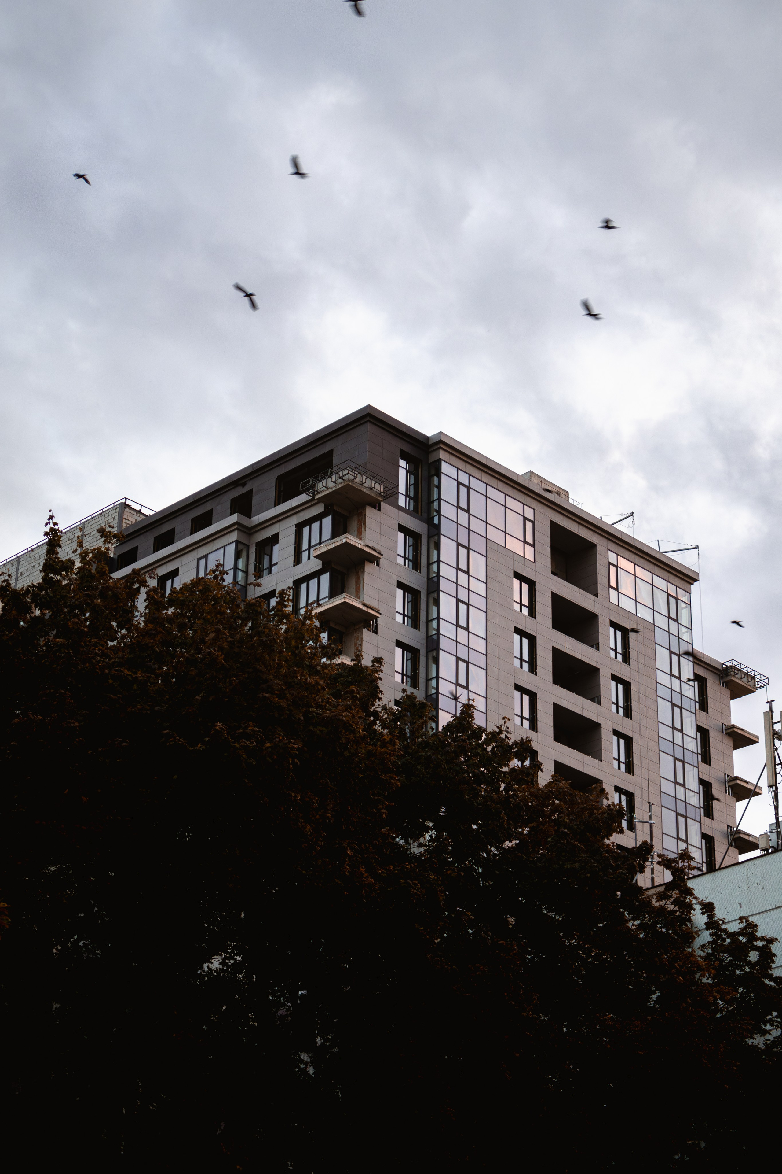 Chișinău. Дизайнер и Фотограф в Кишинёве Бусуйок Станислав