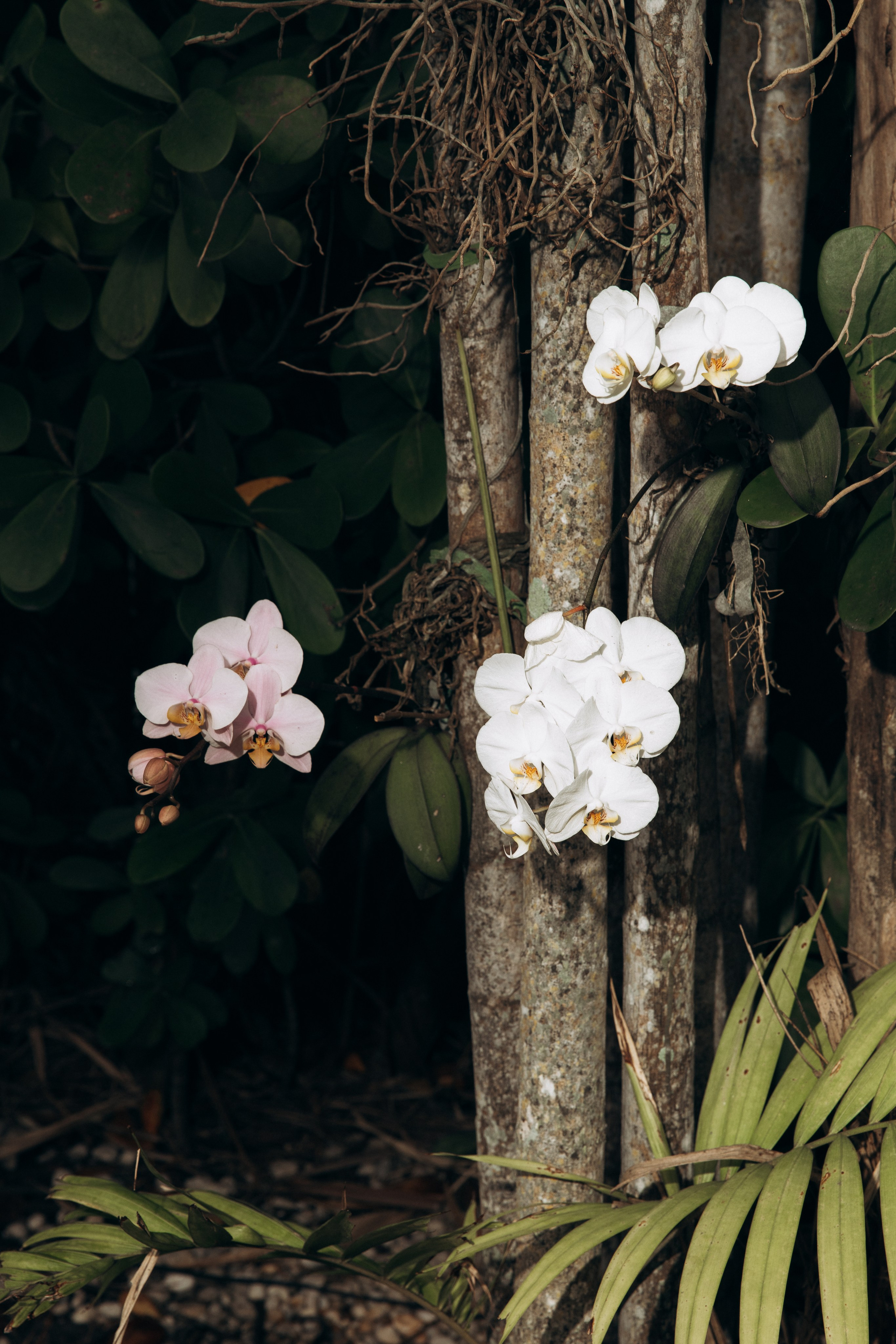 Editorial Retro Pool Session in Miami