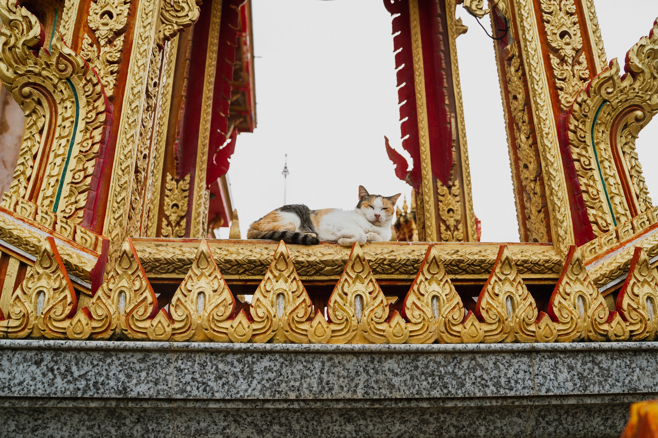 🇹🇭 Thailand. Photographer and travel-blogger Aleksandra Gritsenko