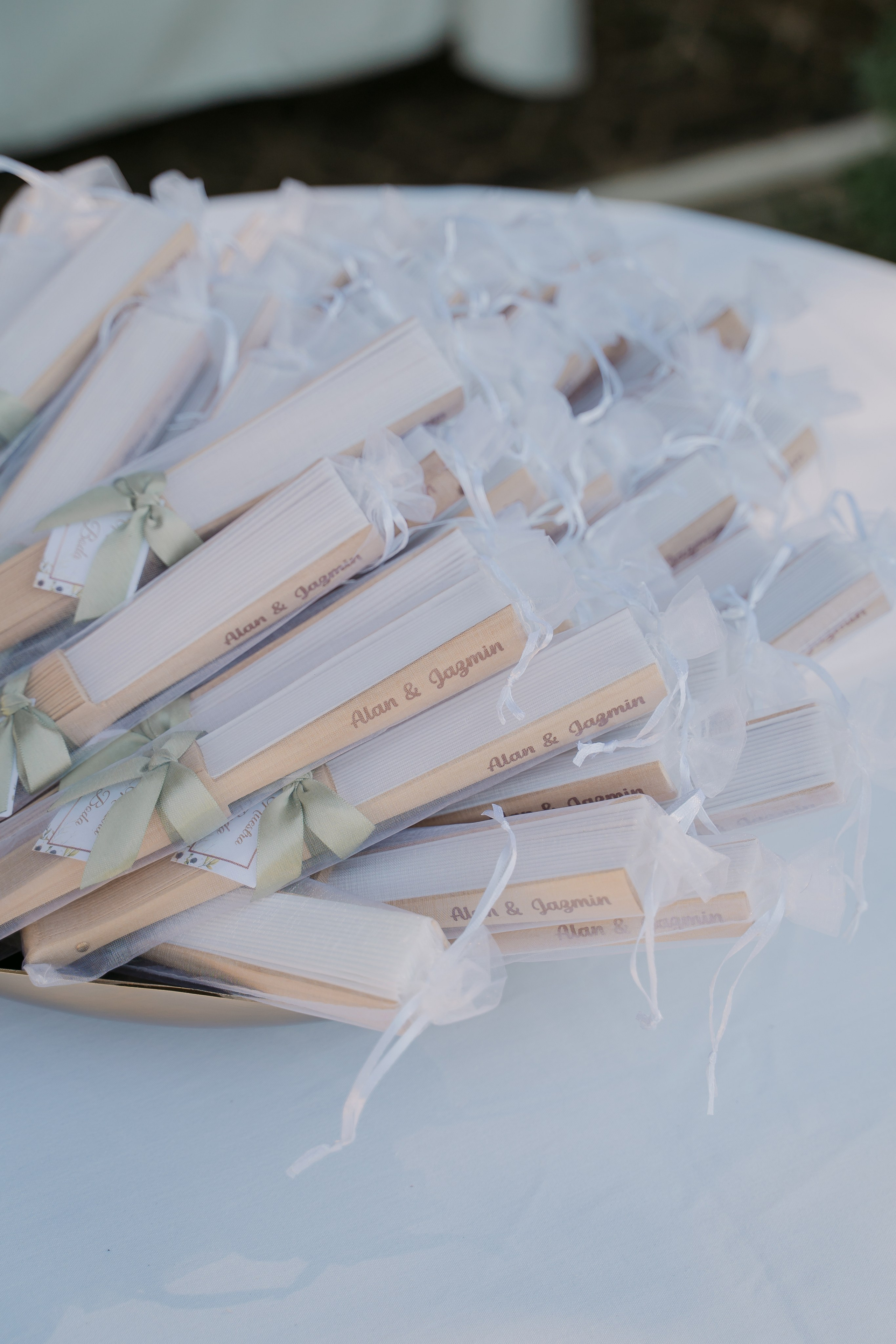Jazzmin & Alan. Babich_weddings