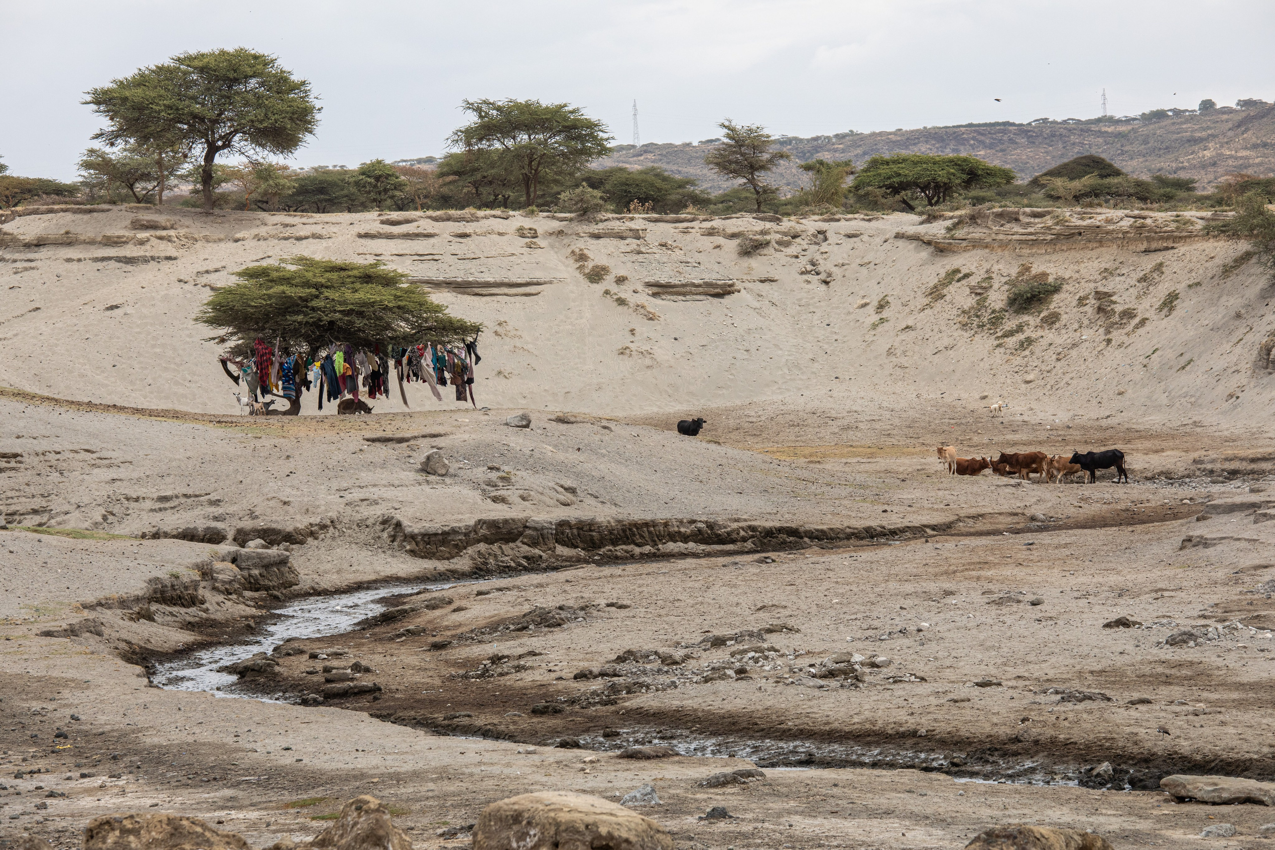 Ethiopia. Documentary, lifestile photographer in Morocco Marina Chaikovskaia