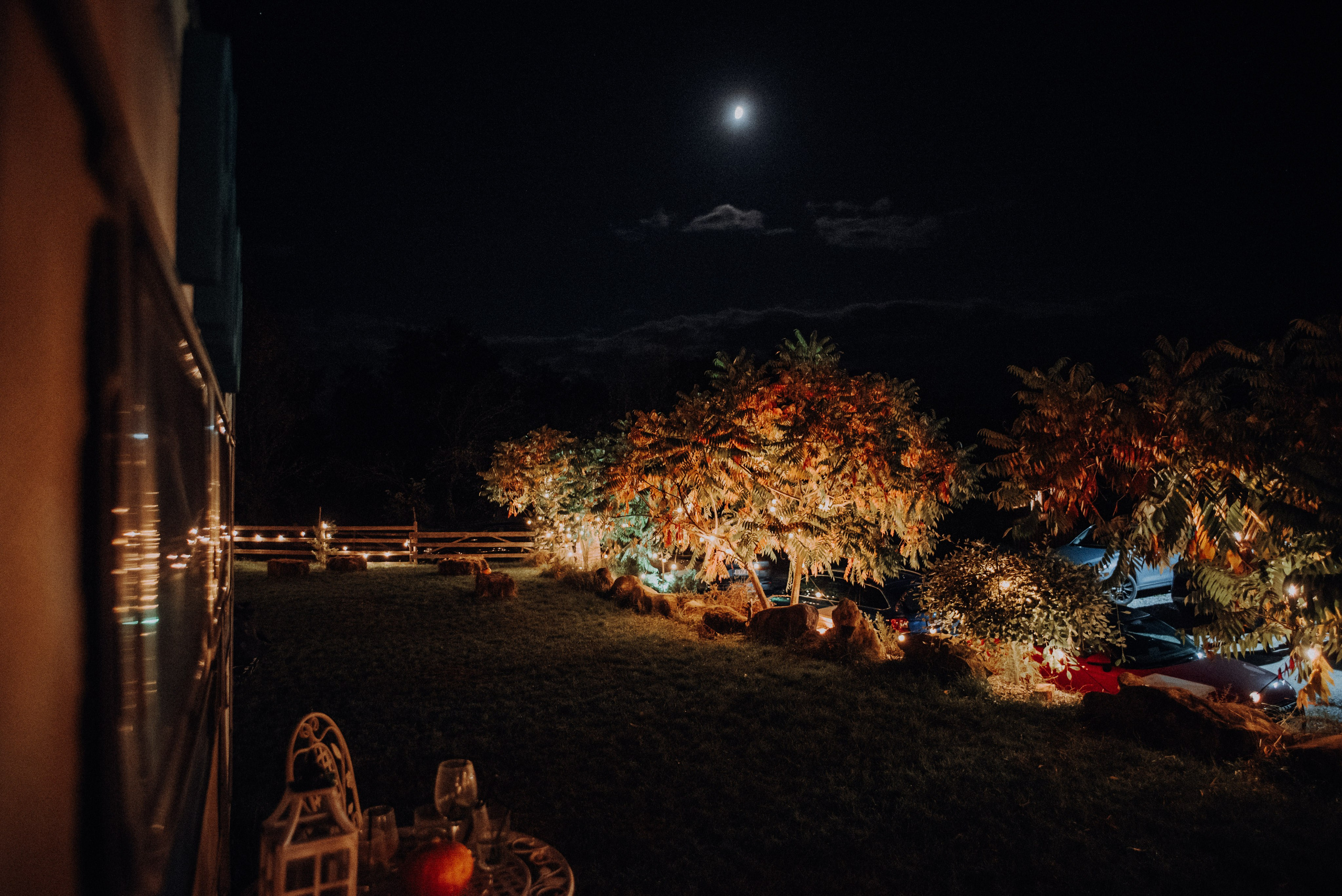 | Carmen & Jaewon |. Alex Vasilie | Fotograf de Nuntă, Botez și Portret | Cluj-Napoca