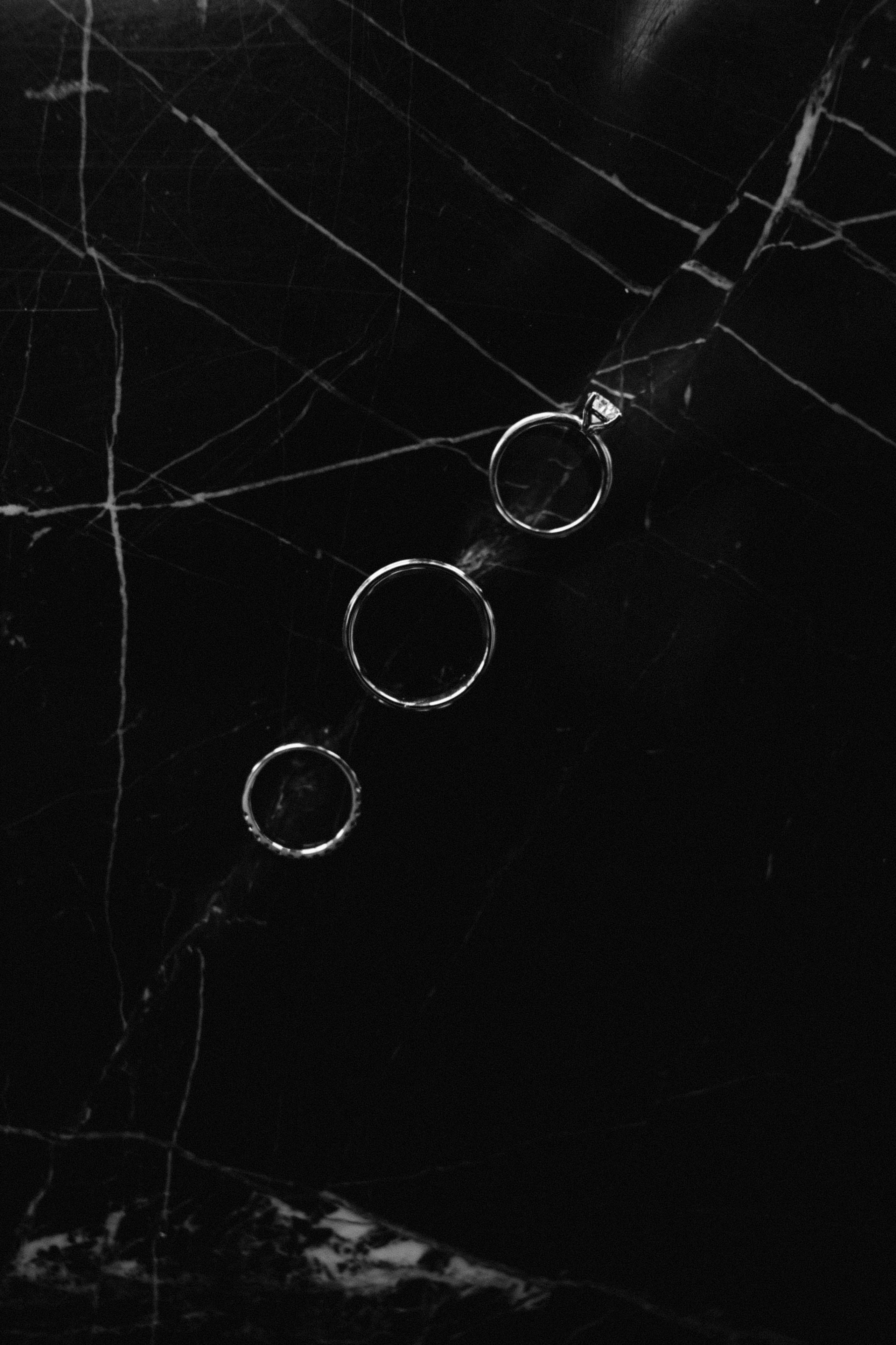 Danielle & Blake (The Fort Garry). Wedding Photographer in Winnipeg — Cinematic & Timeless by Vitiuk Photography