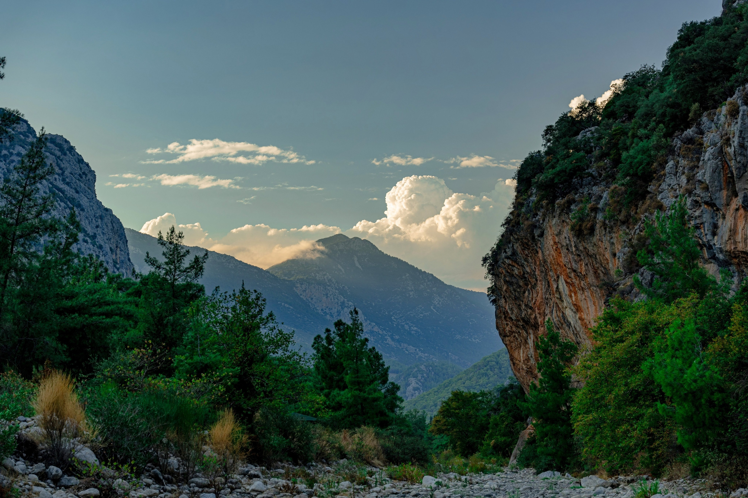 TURKEY & NATURE. UNRATED PHOTO