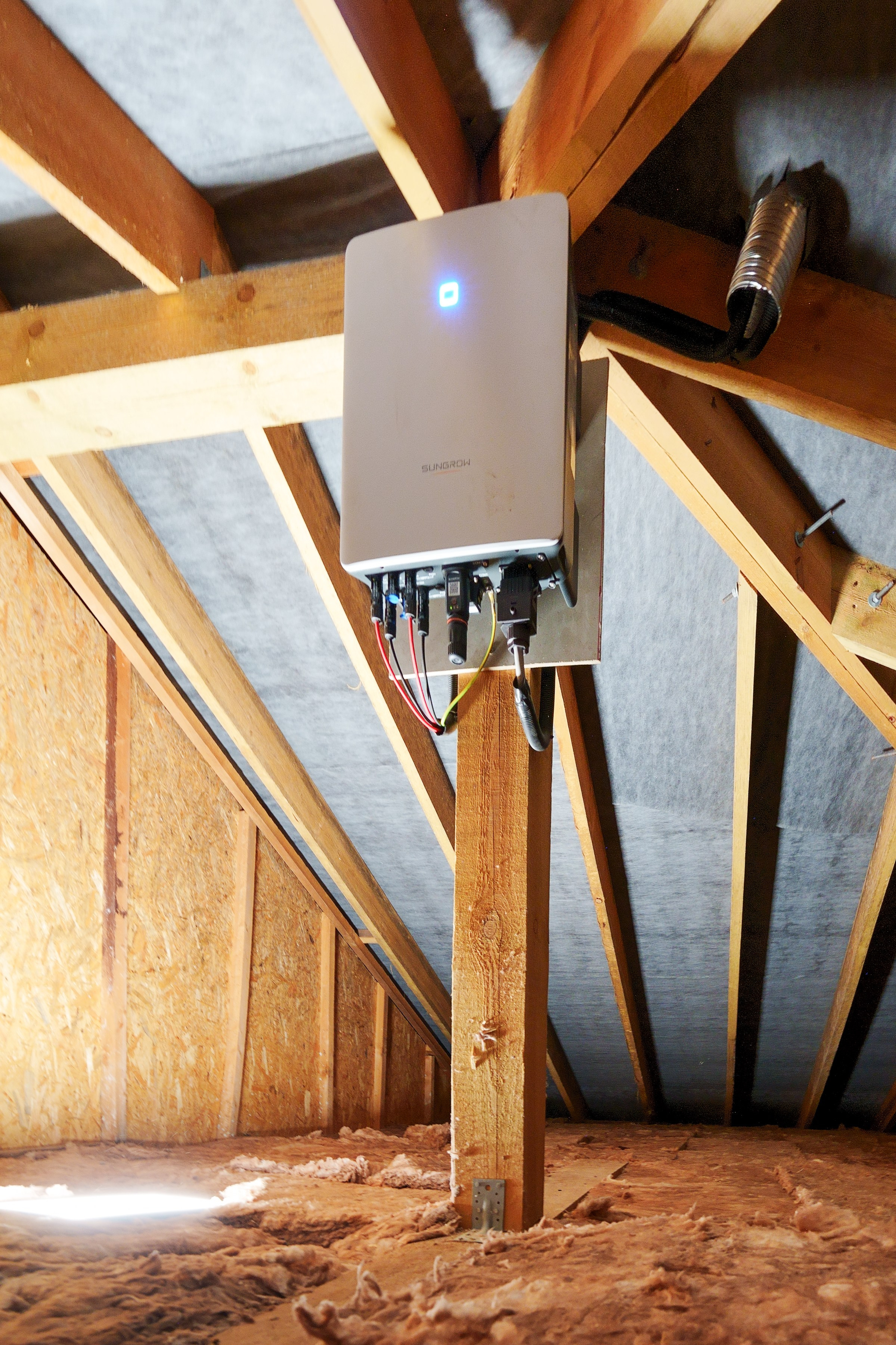 Tarandė. Elina Sapiega fotografė Vilniuje