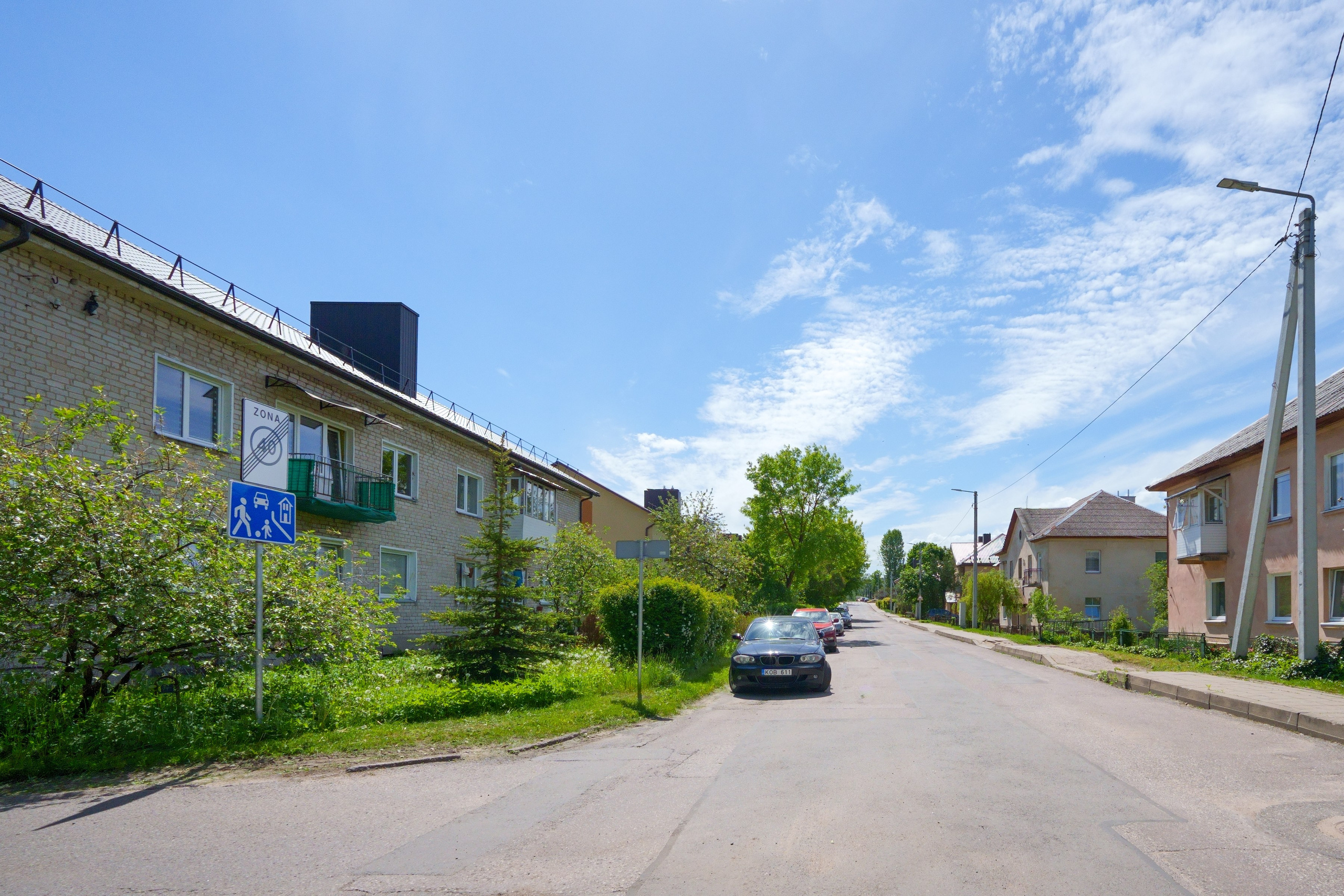 Grigiškės. Elina Sapiega fotografė Vilniuje
