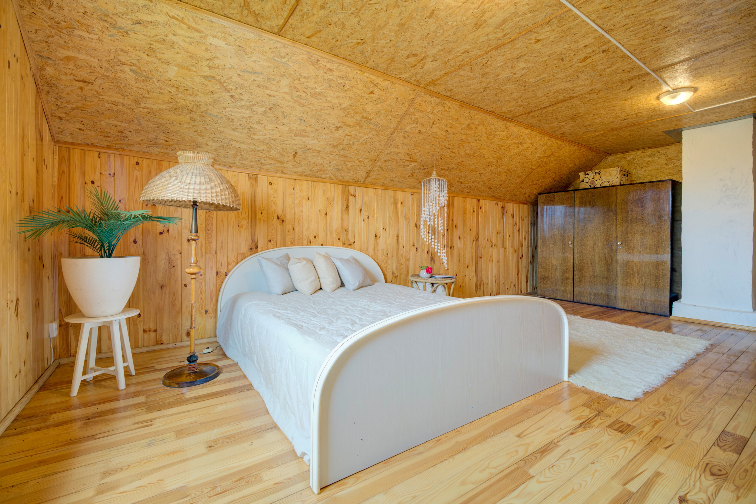 Varėnos raj. Elina Sapiega fotografė Vilniuje