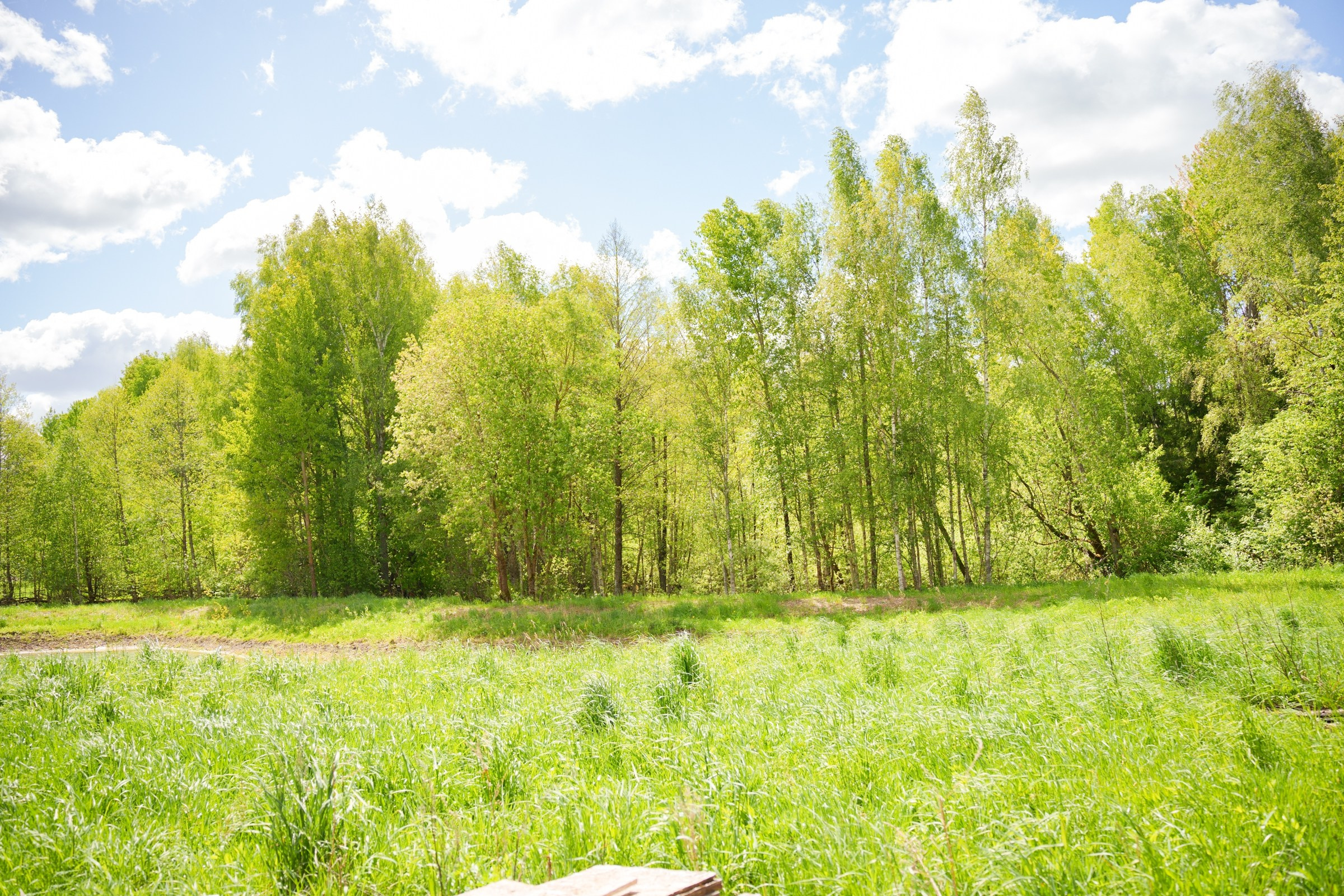 Kernavė. Elina Sapiega fotografė Vilniuje